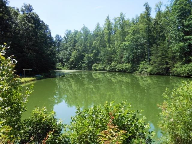 Earth Center Campground and Retreat