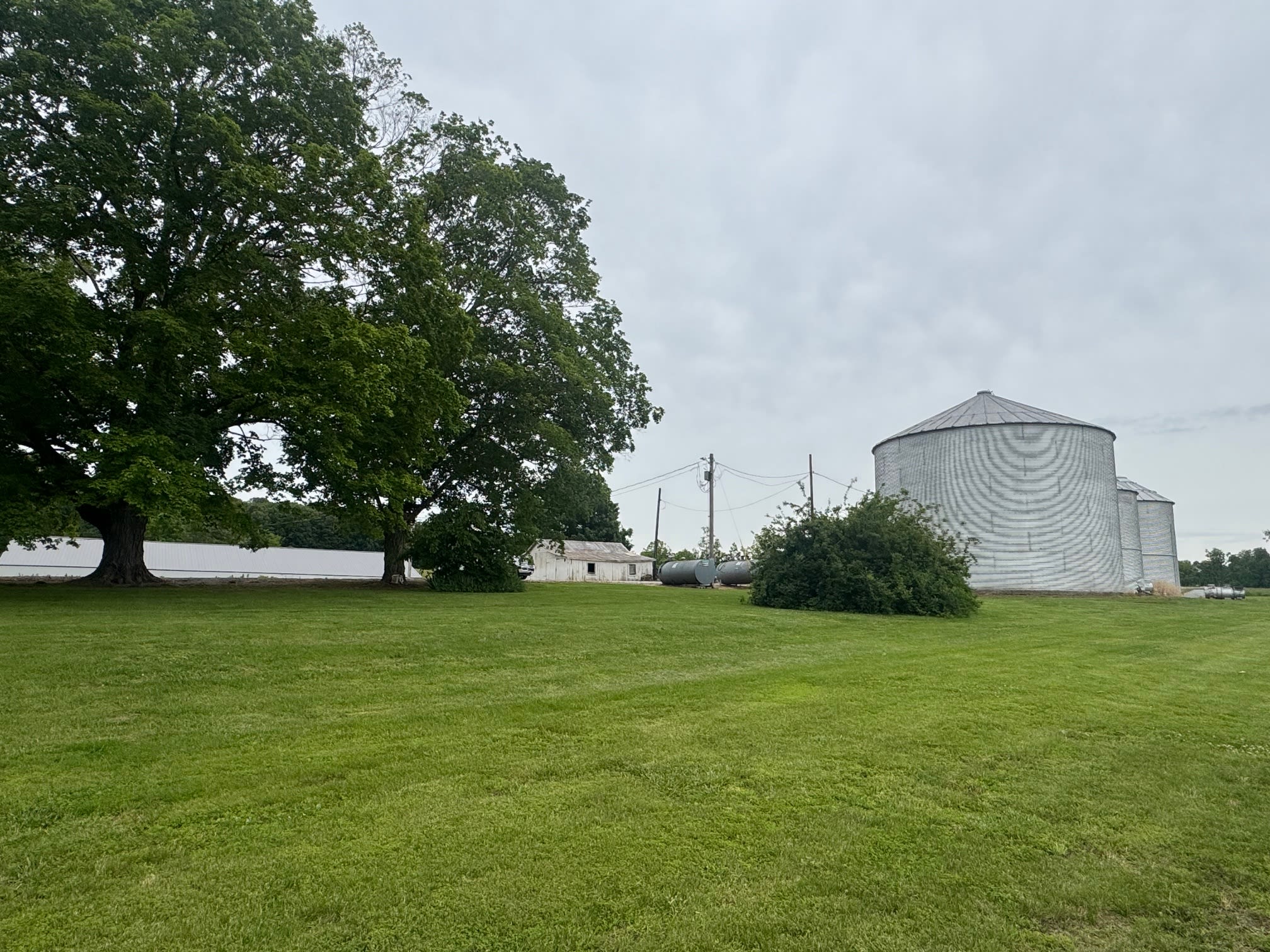 Meadow Ridge Farm