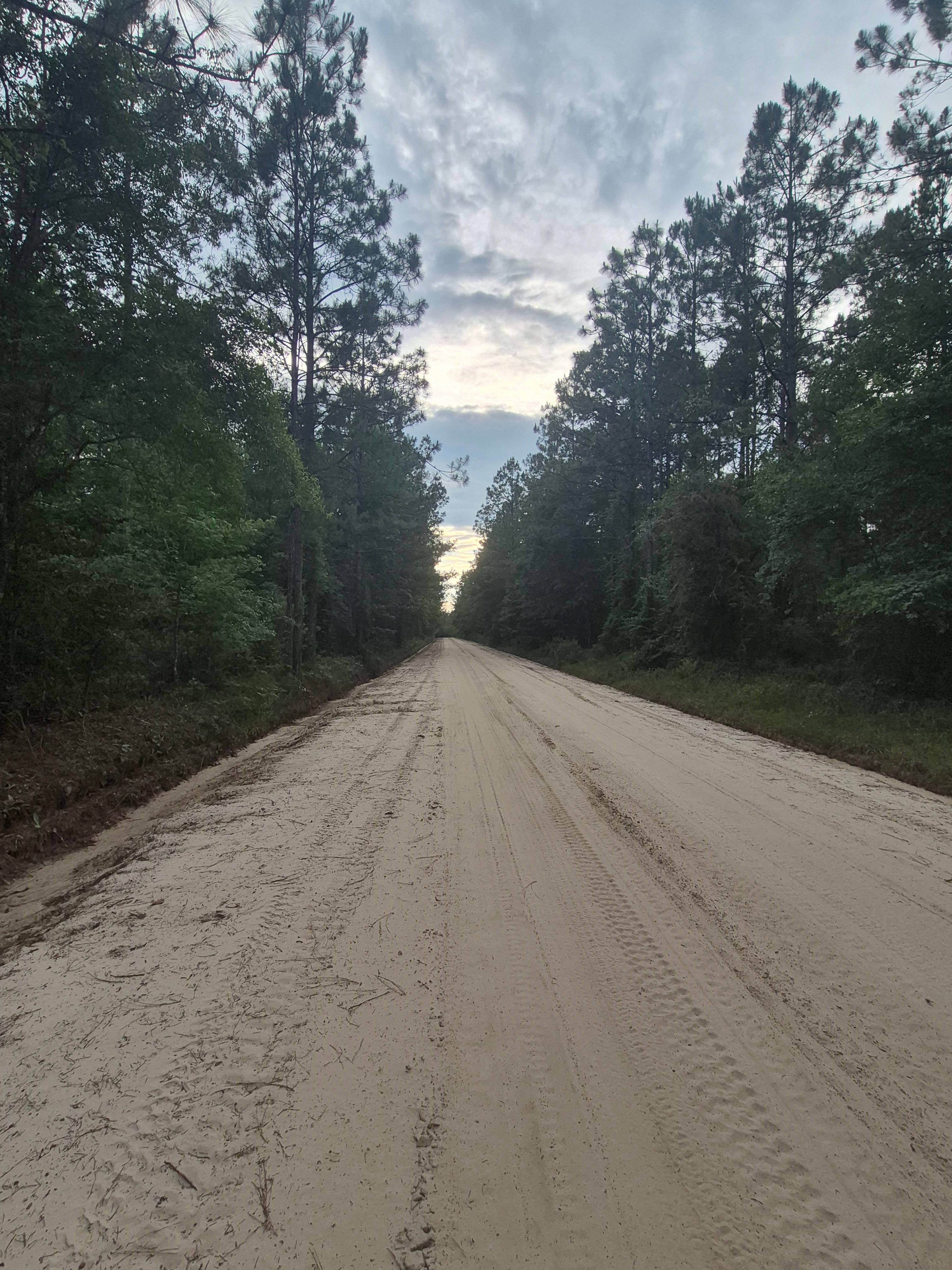 Persimmon Creek Farms