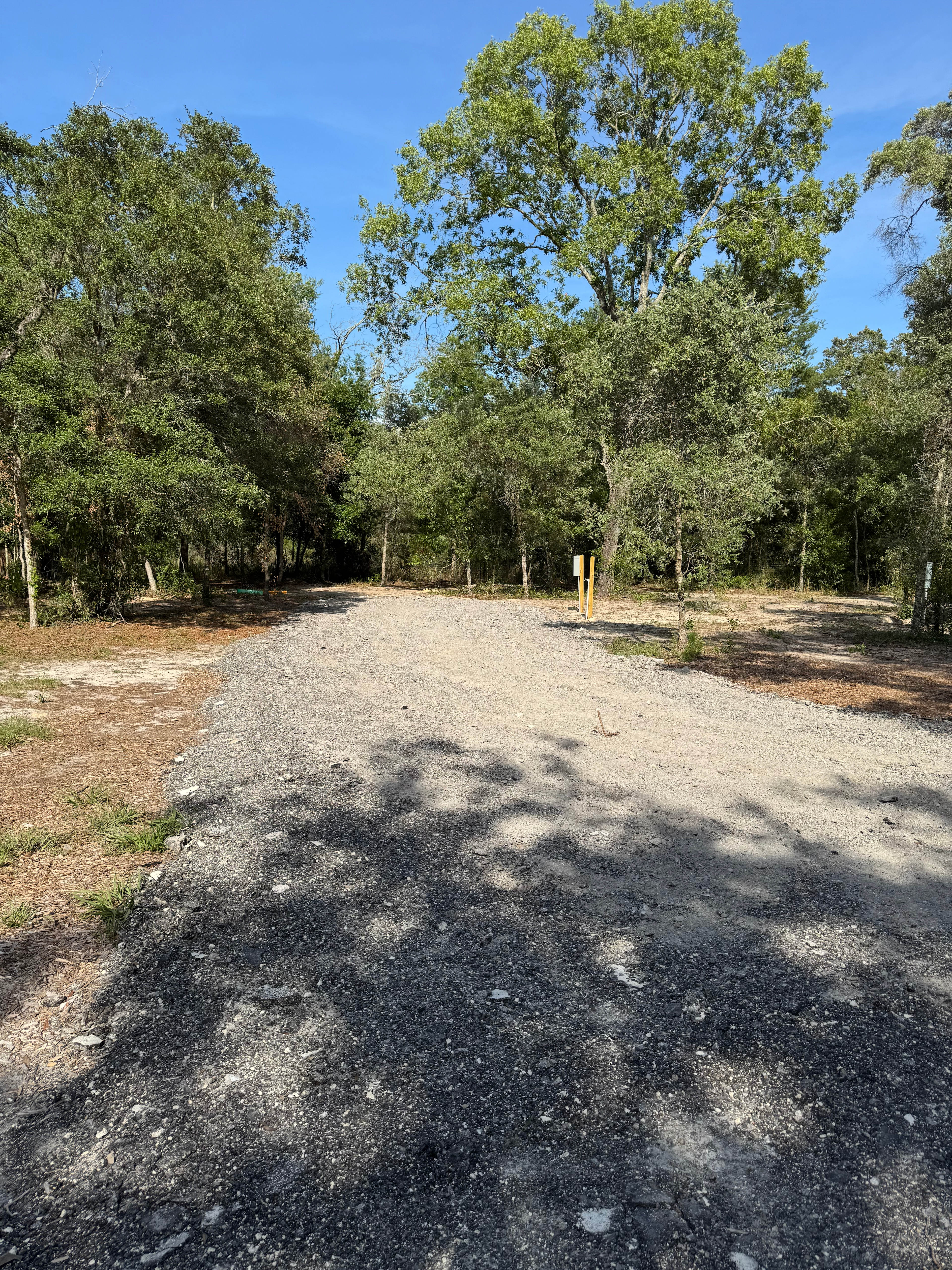 Dom’s nature camp 🍃