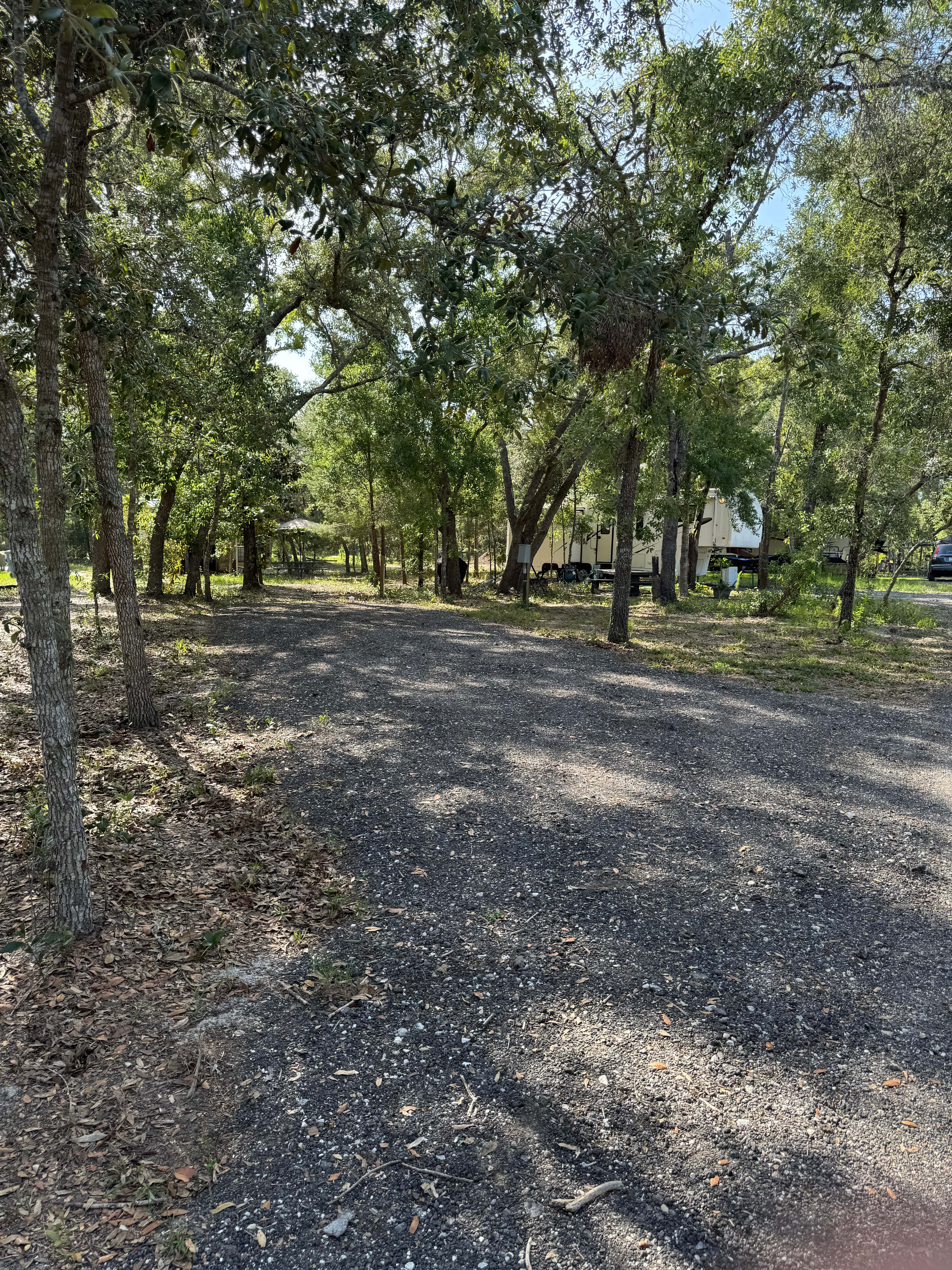 Dom’s nature camp 🍃