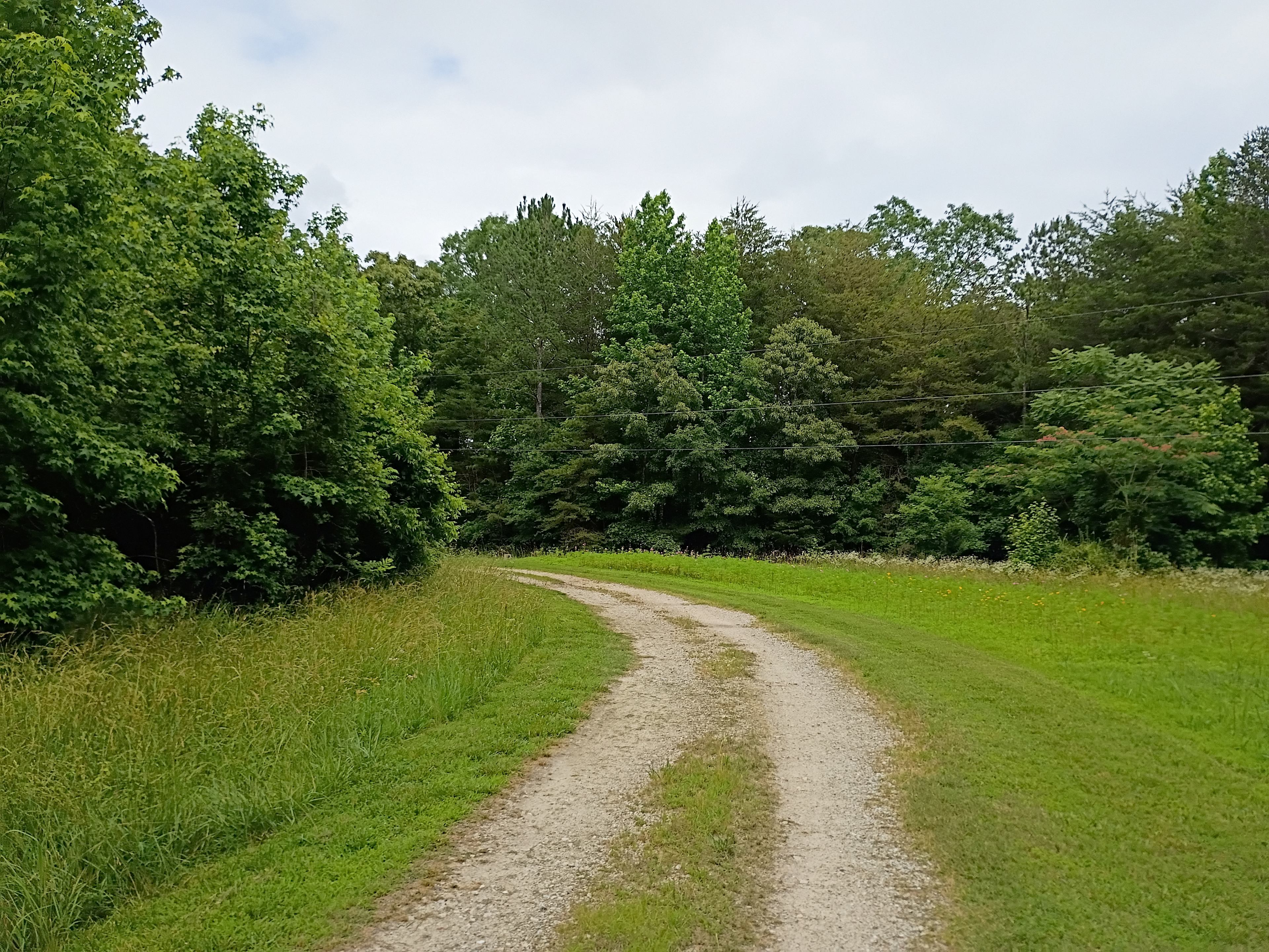 Entrance driveway