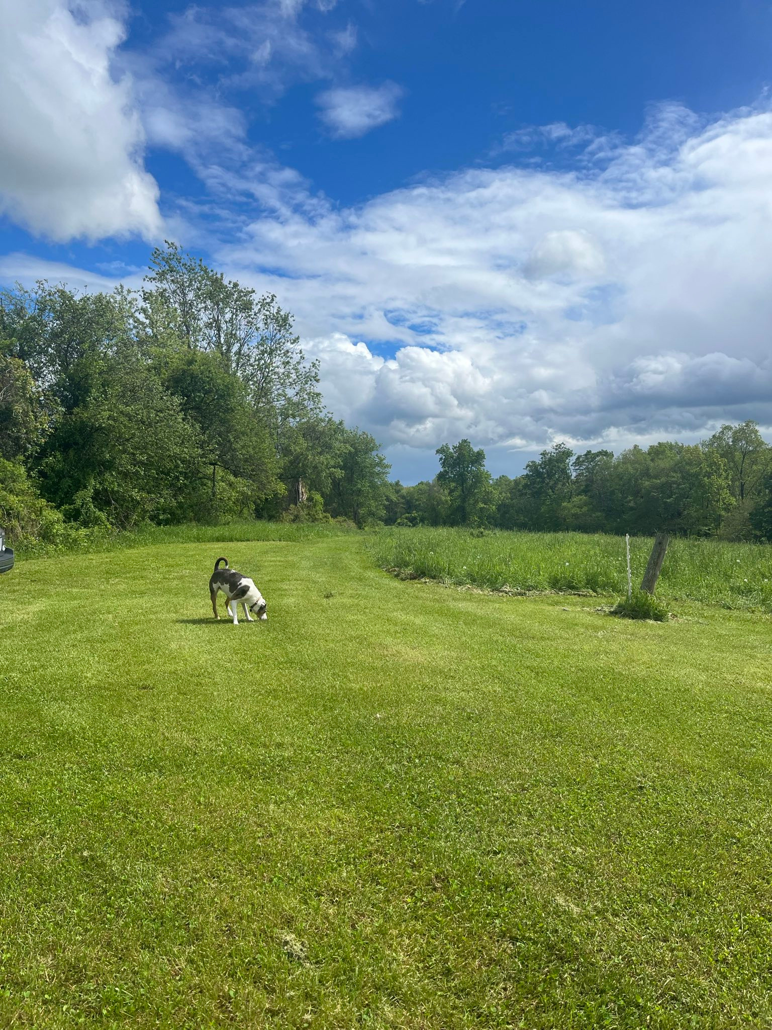 Glamping @ Meadow Ridge Farm