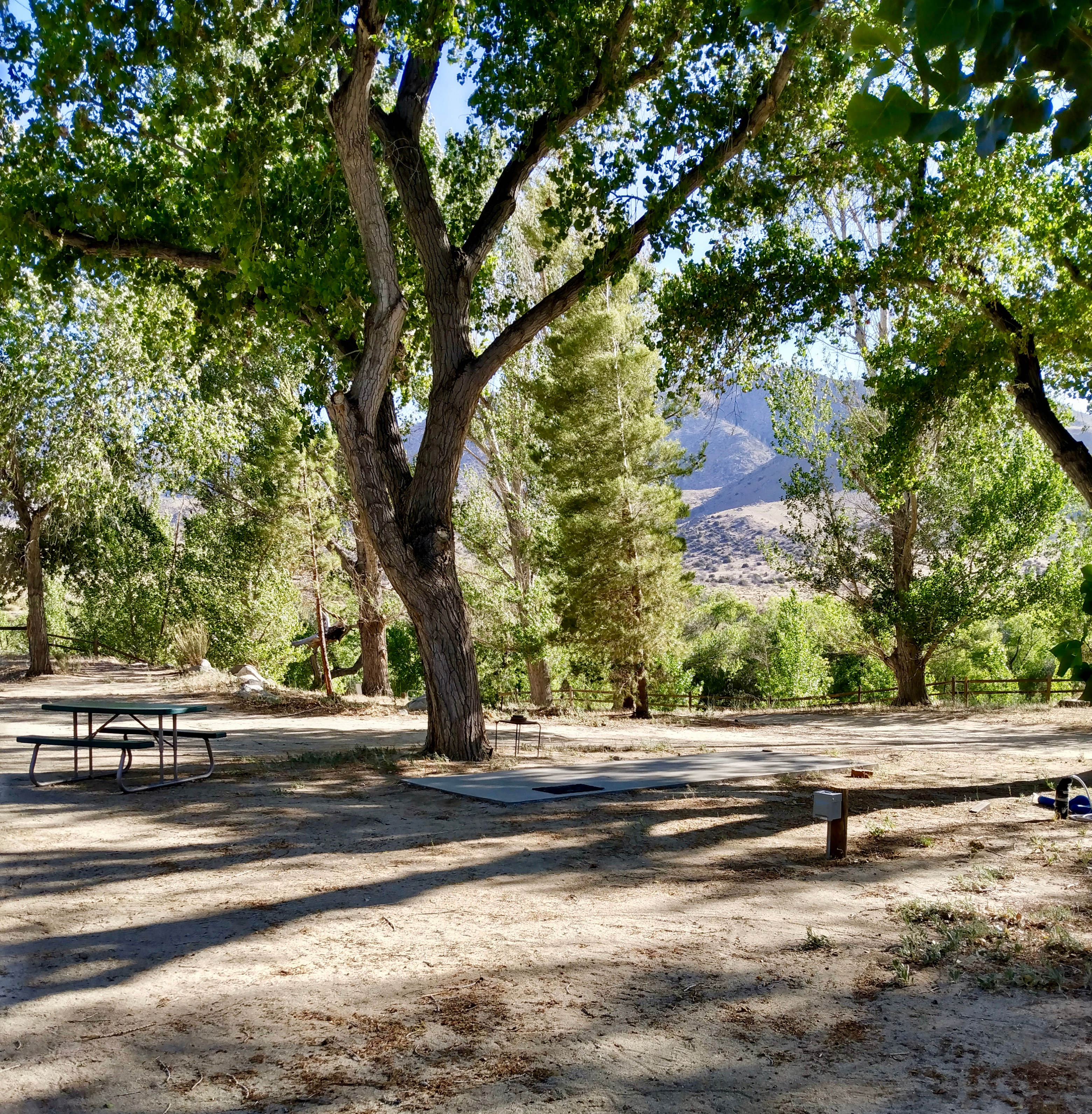 Shady site with concrete pad and picnic table