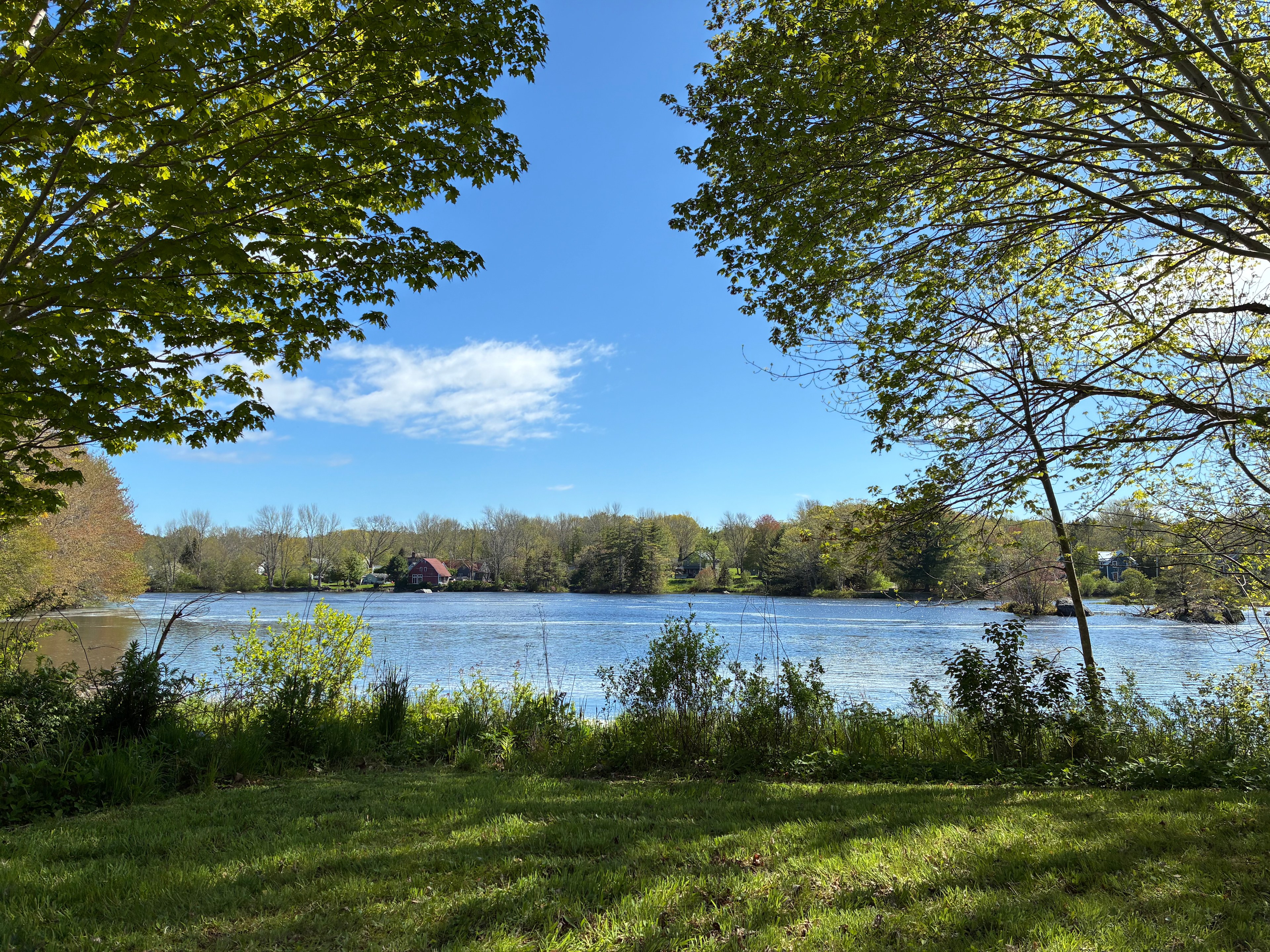 The river on a clear day. It's very calm and swimmable (but bring water shoes!)