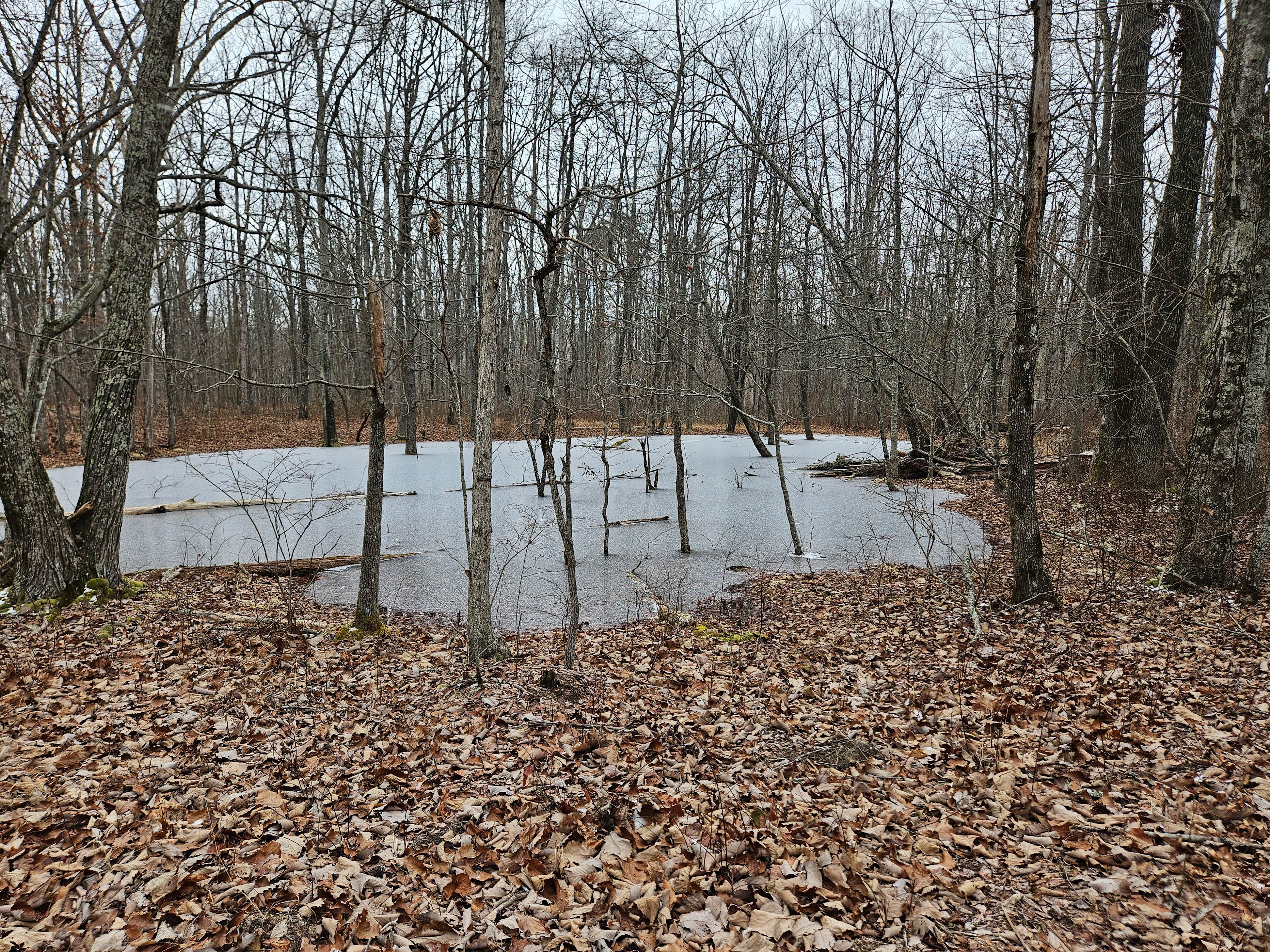 The Land at Roaring Creek