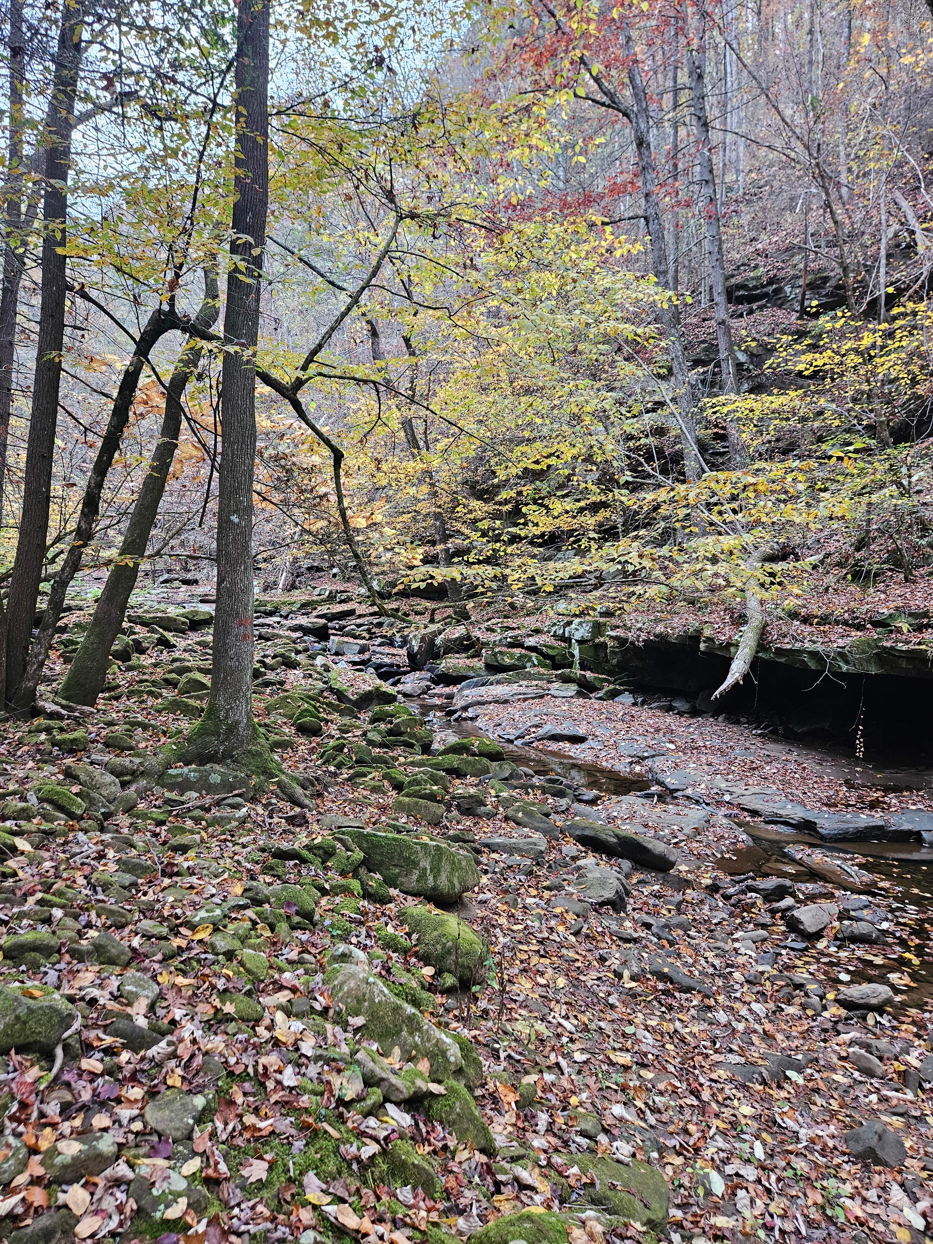 The Land at Roaring Creek