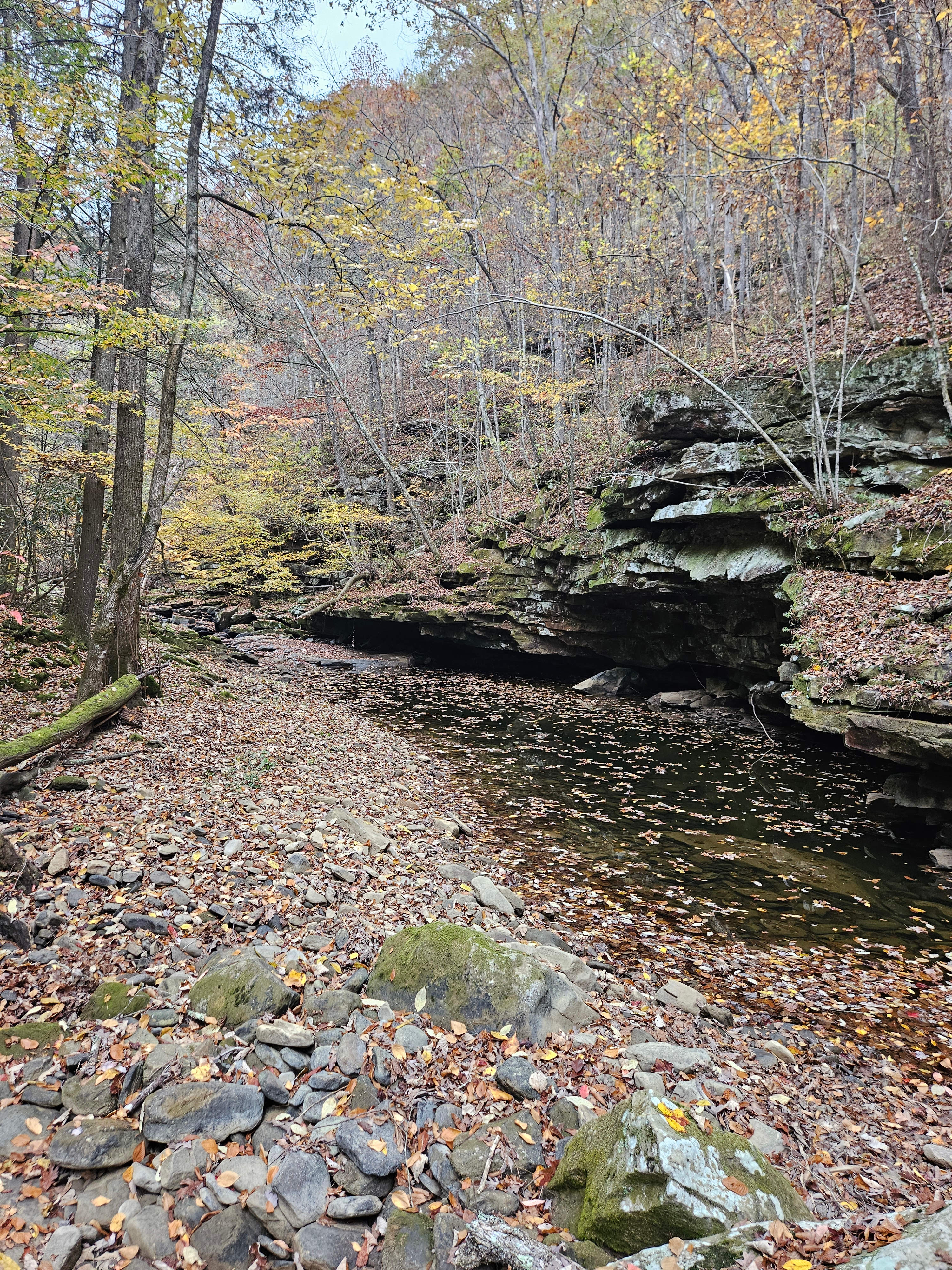 The Land at Roaring Creek