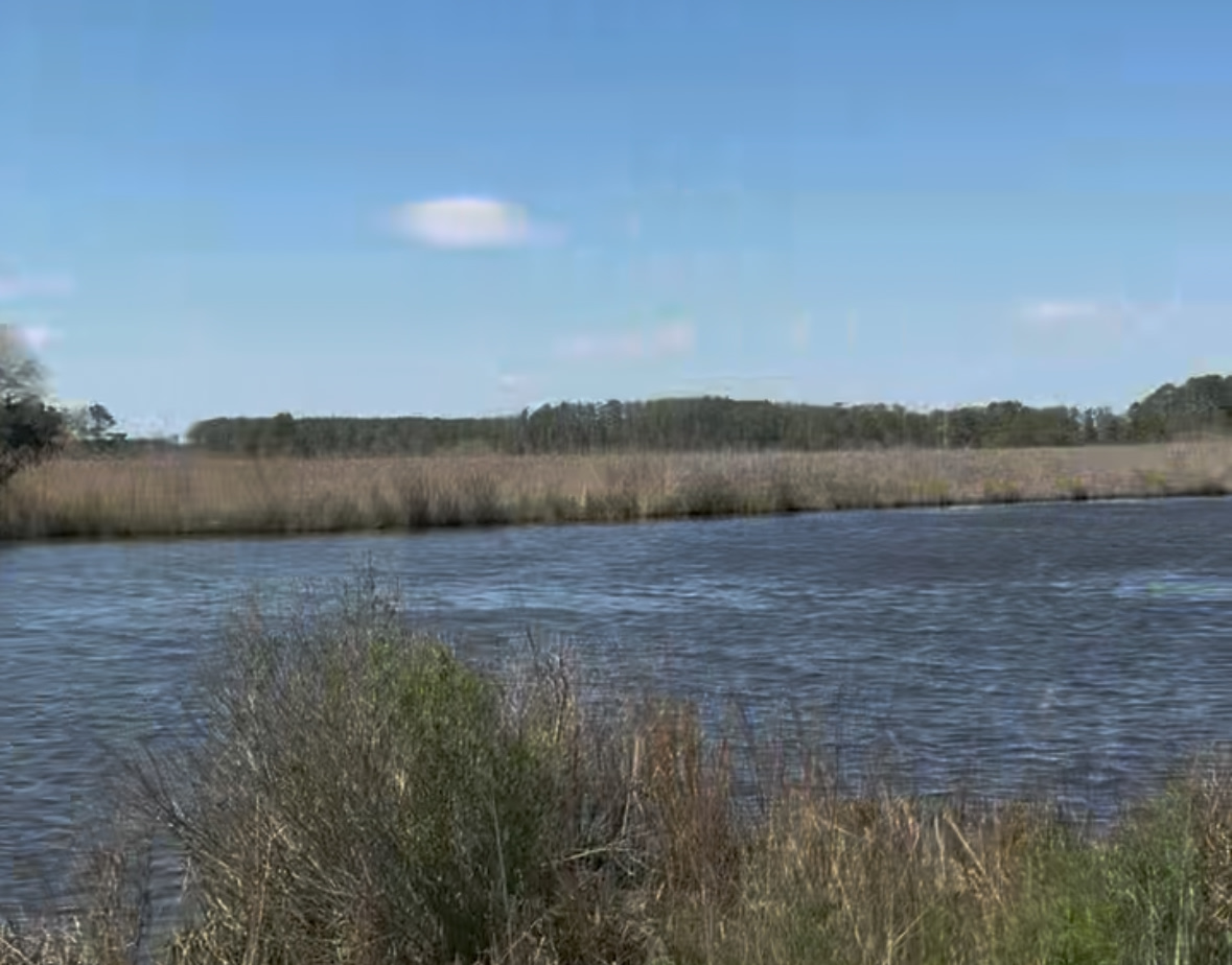 Rustic Zen Campsite W/ Fishing