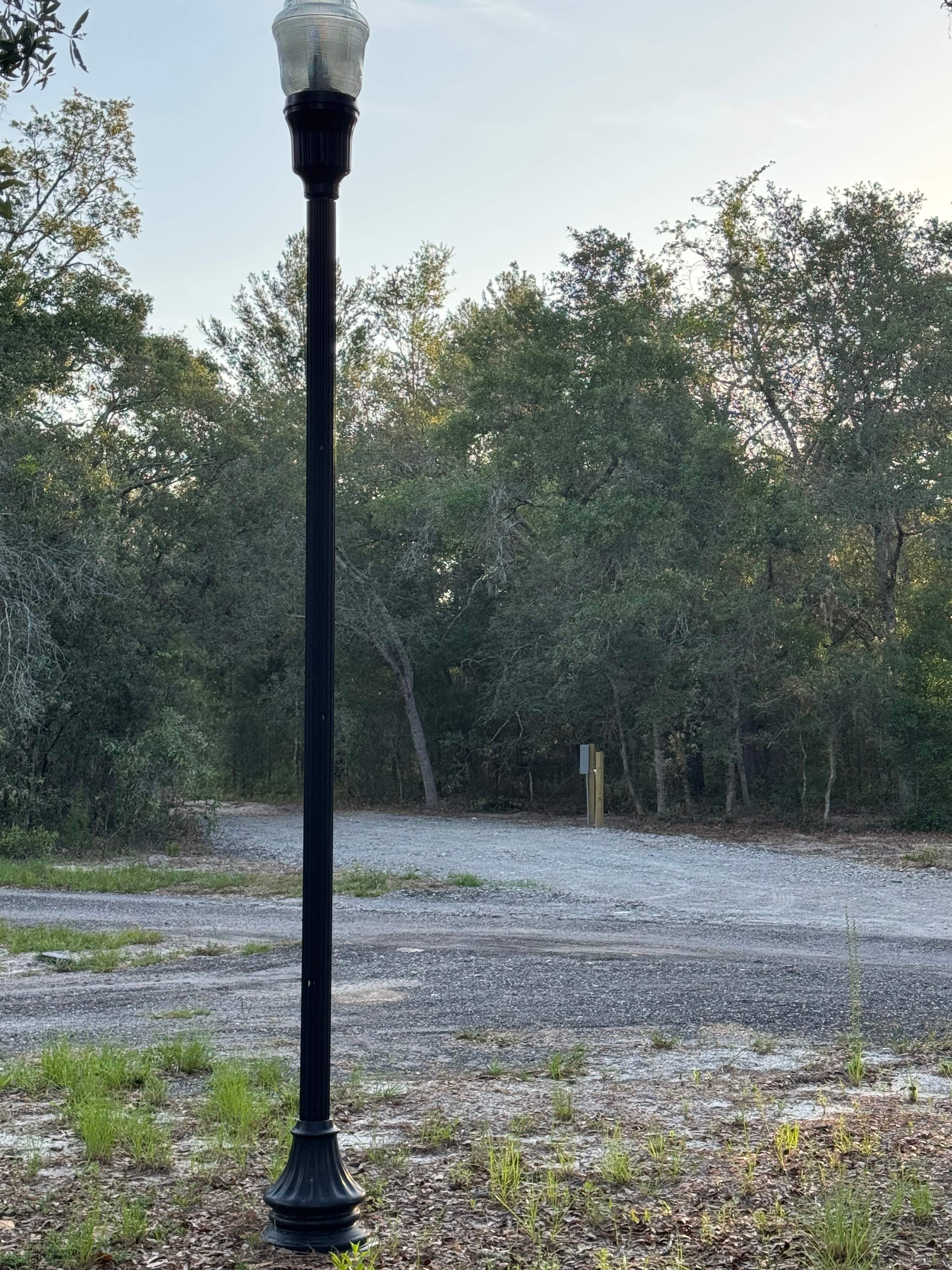 Dom’s nature camp 🍃