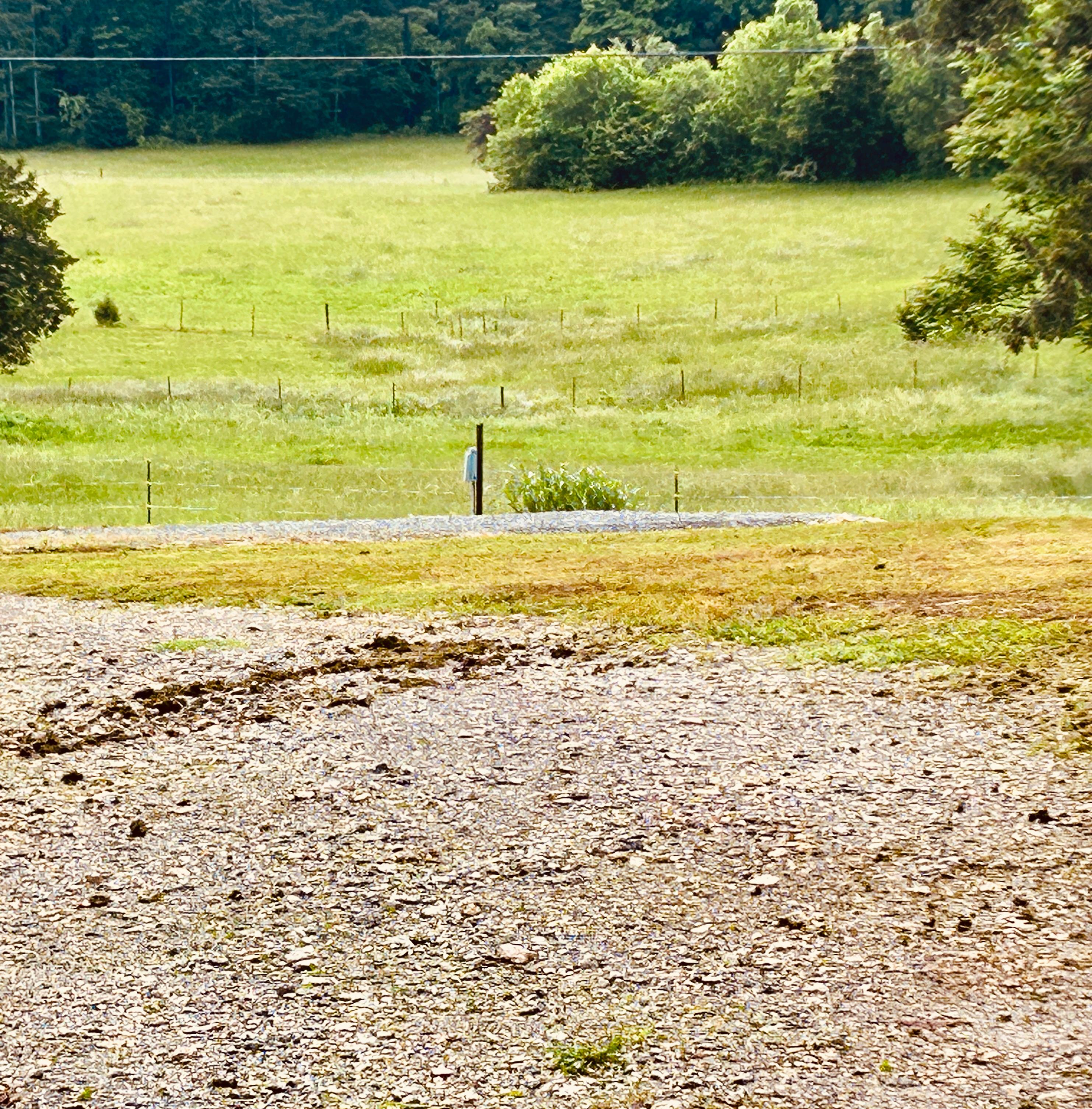 The Tall Farm RV Hookup