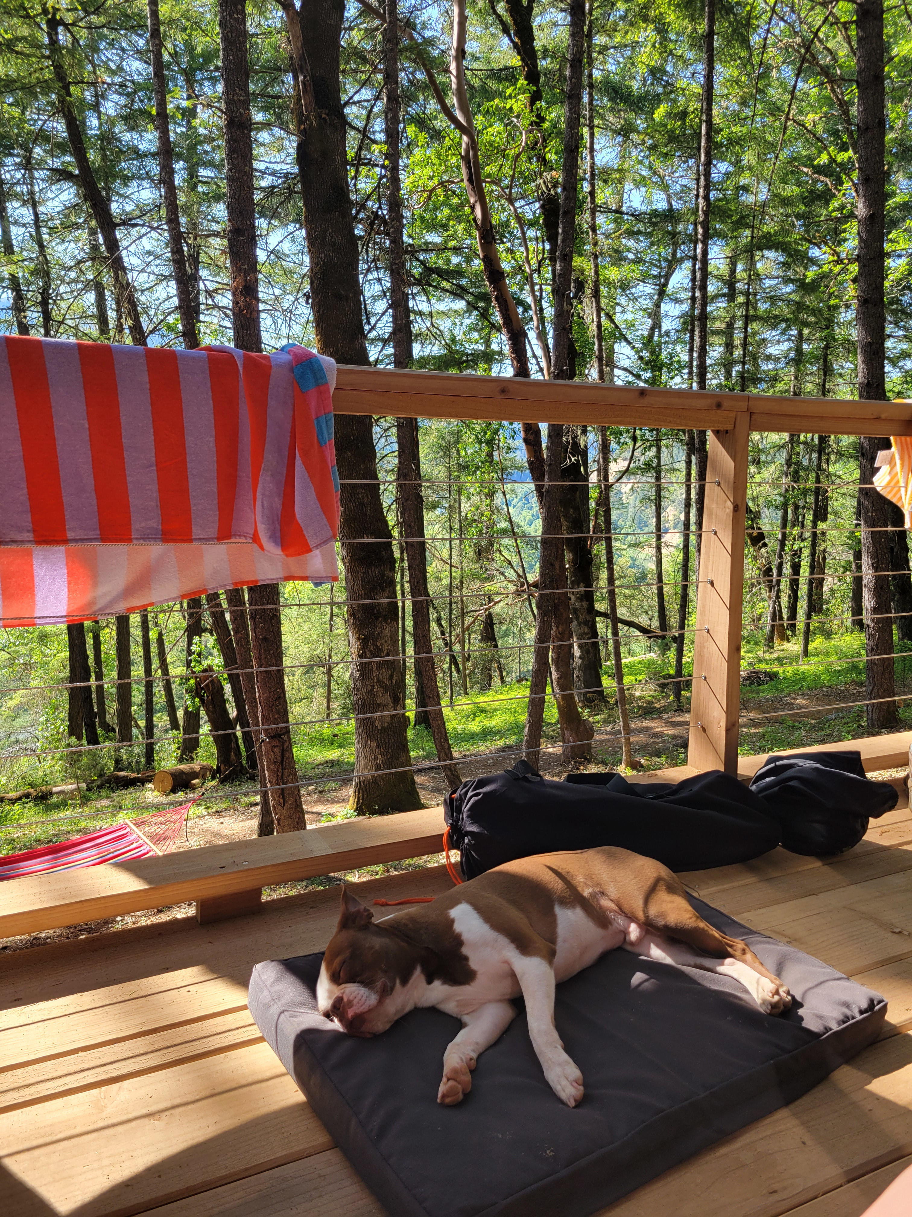 Rogue River Glamping