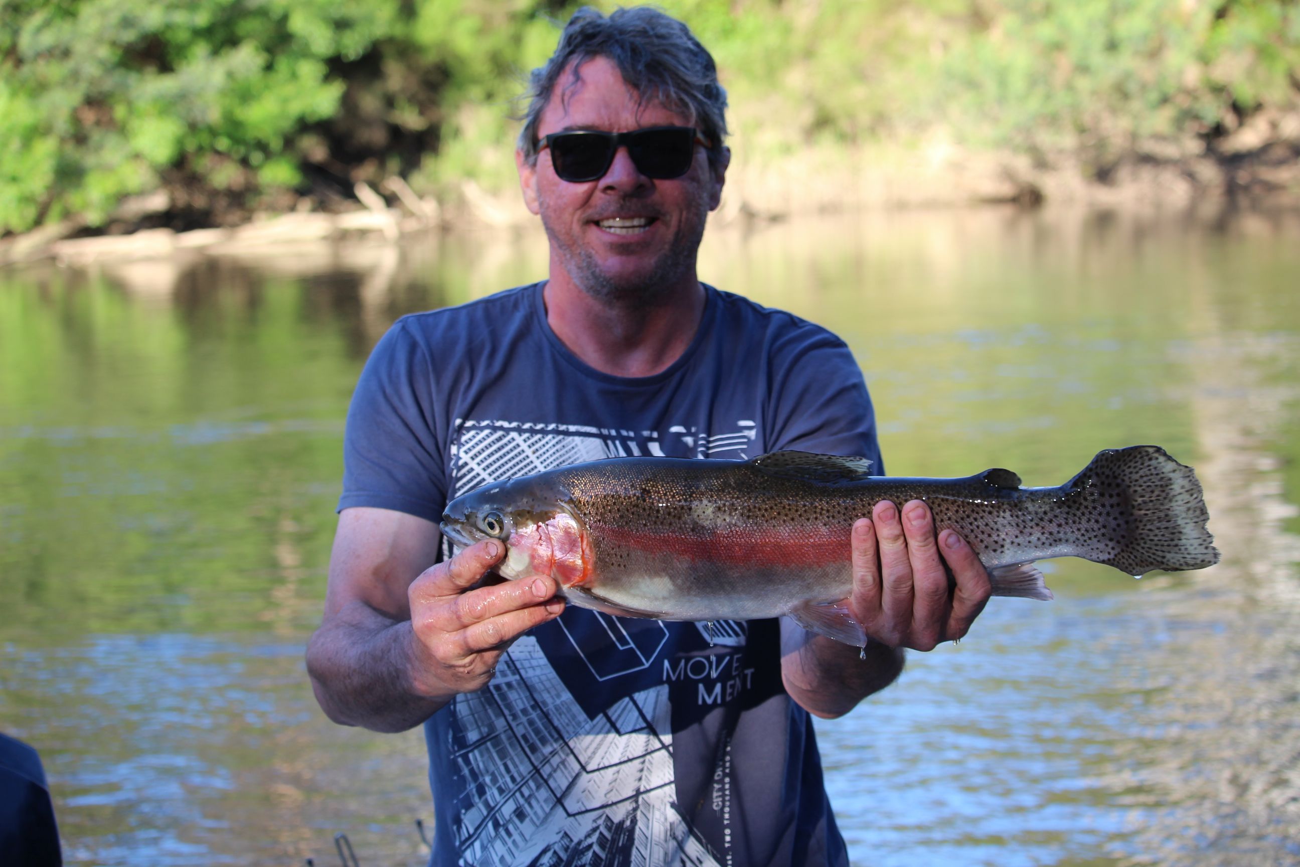 Molesworth  Caravan Park