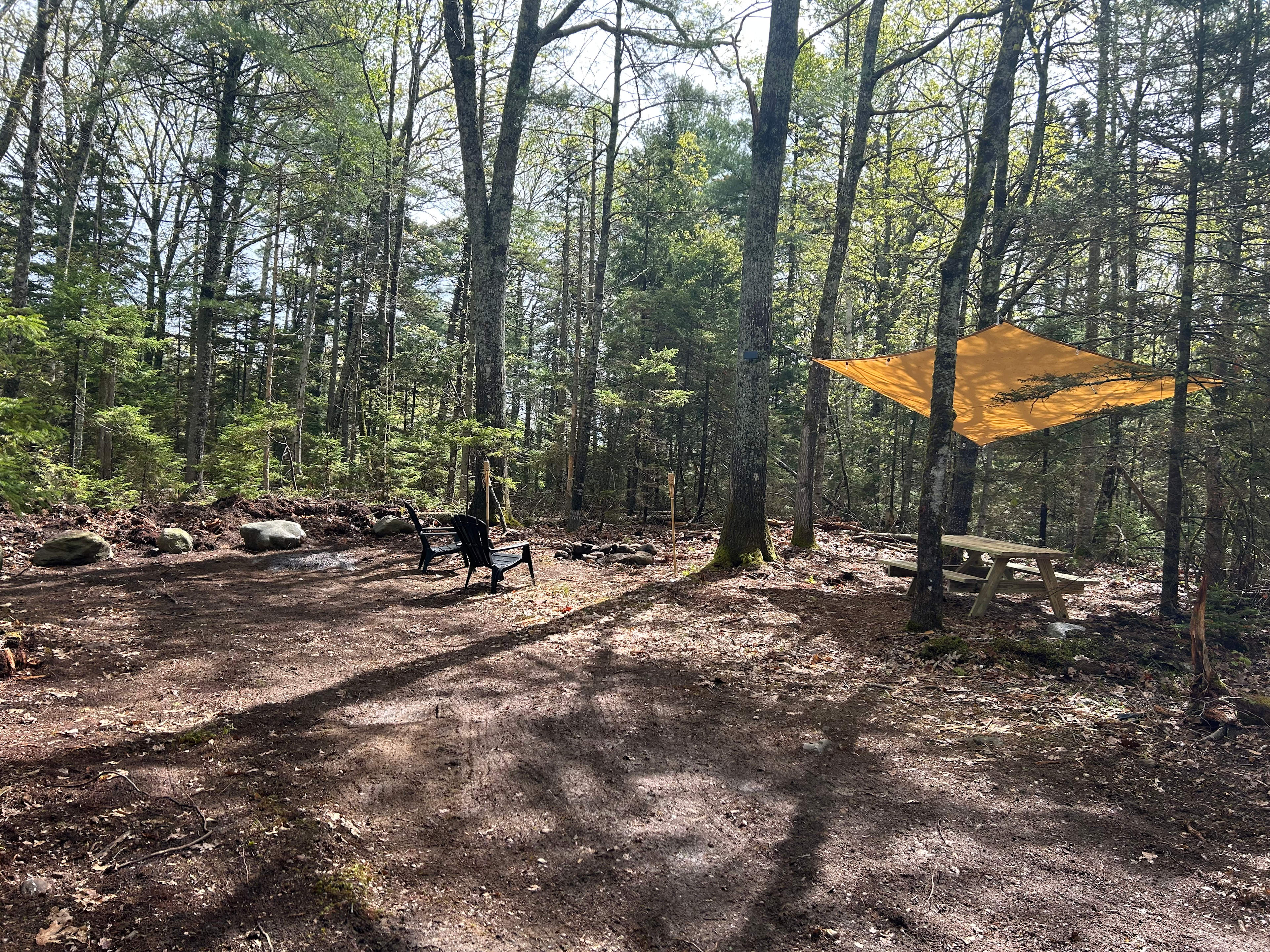 Camp Sites at Freedom Farm