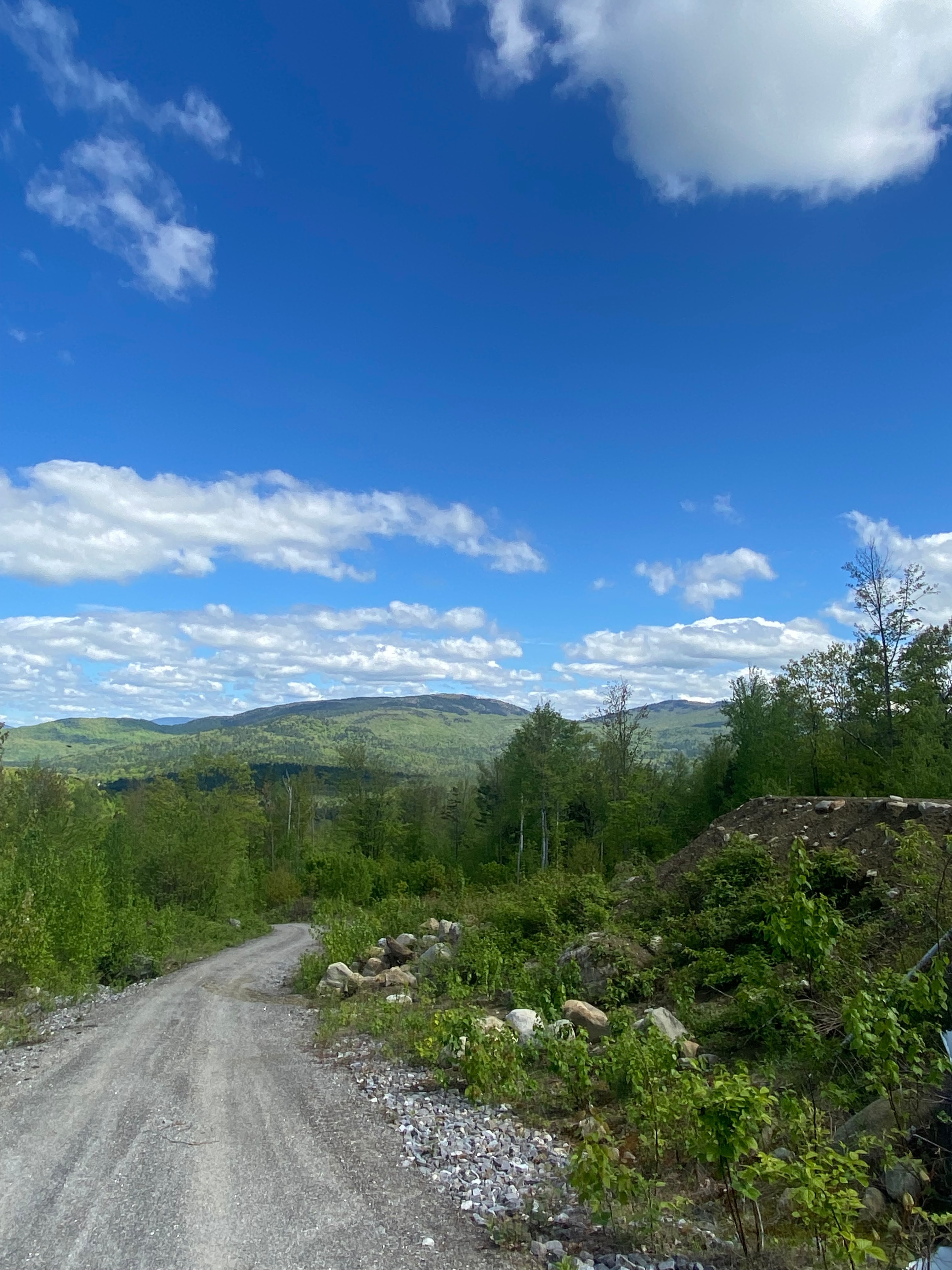 Beautiful Views + 62 Acres For You