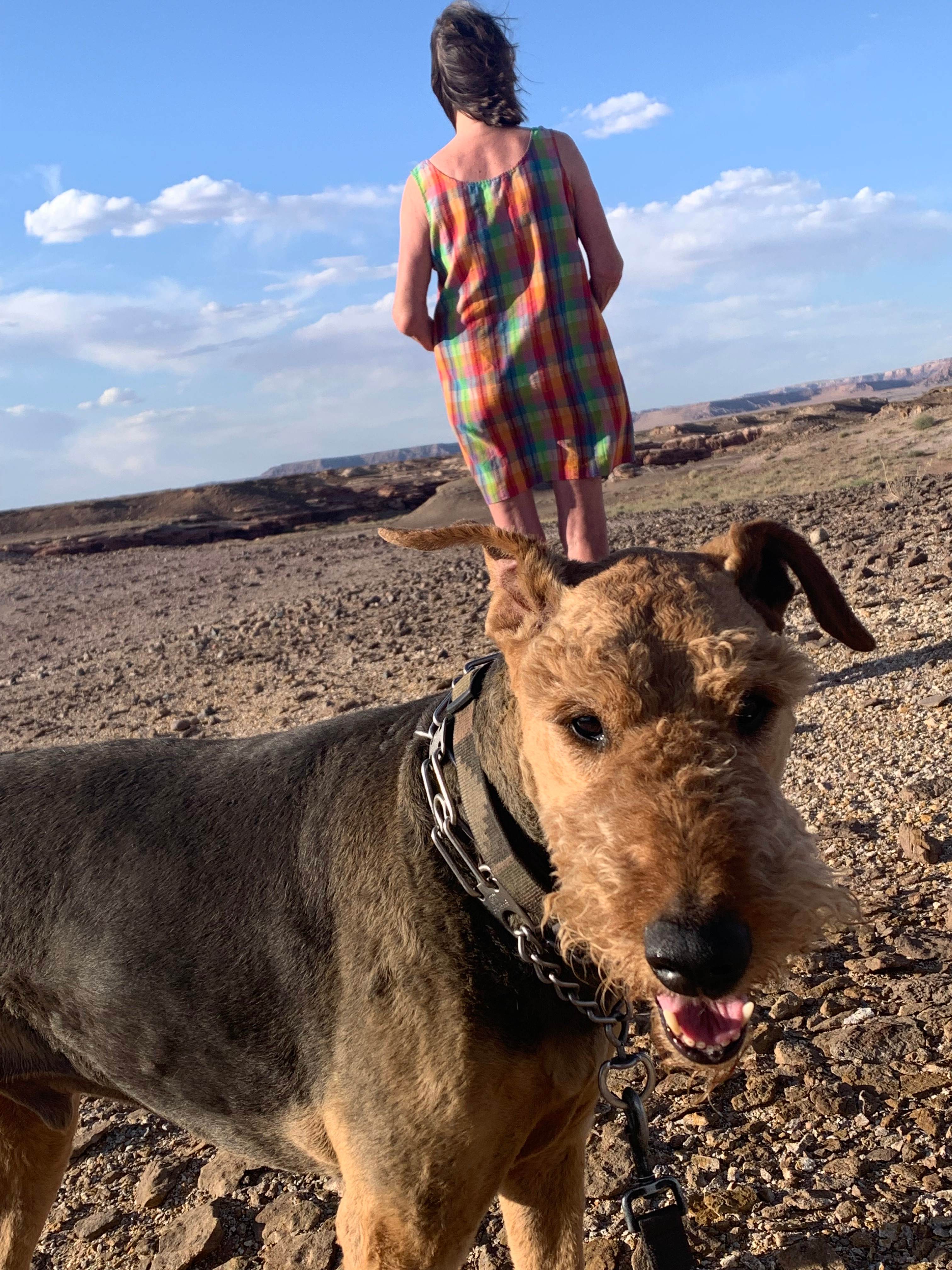 Painted Desert Outpost
