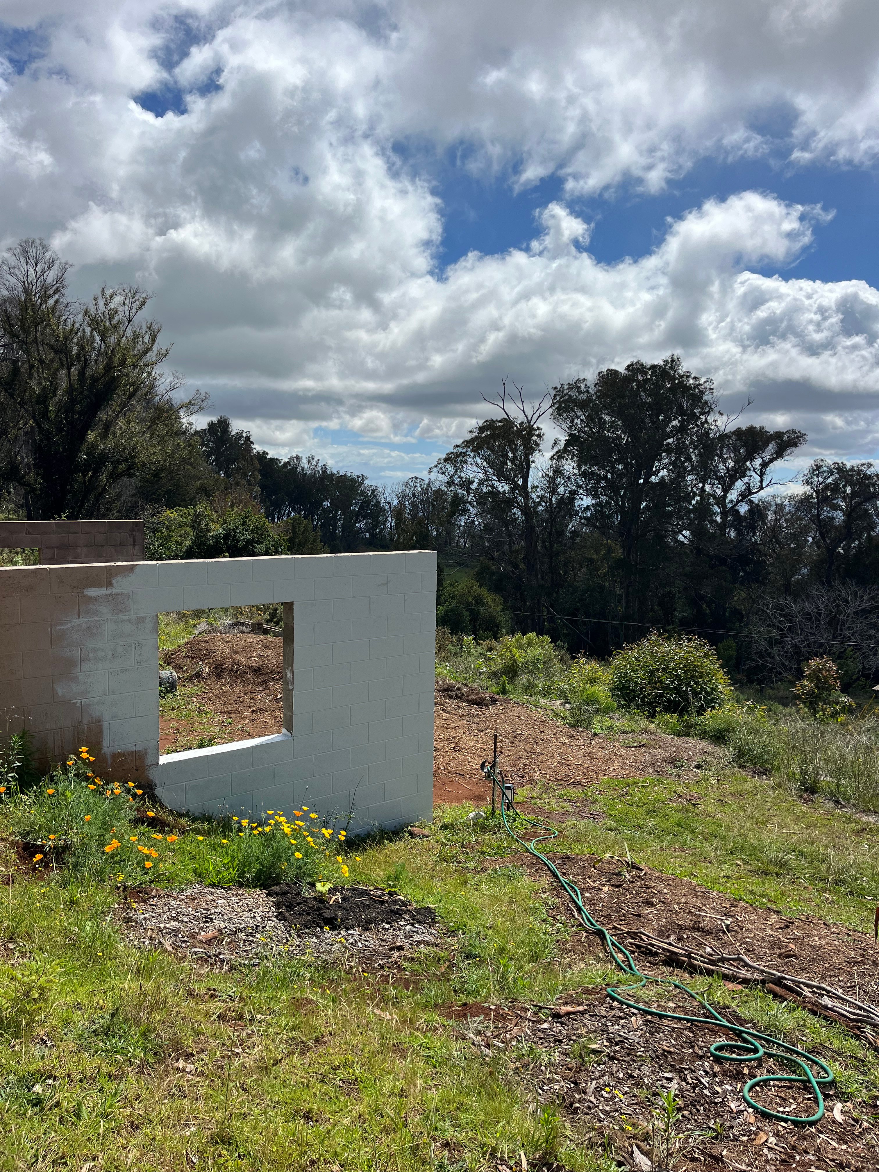 Upcountry Camping on Flower Farm