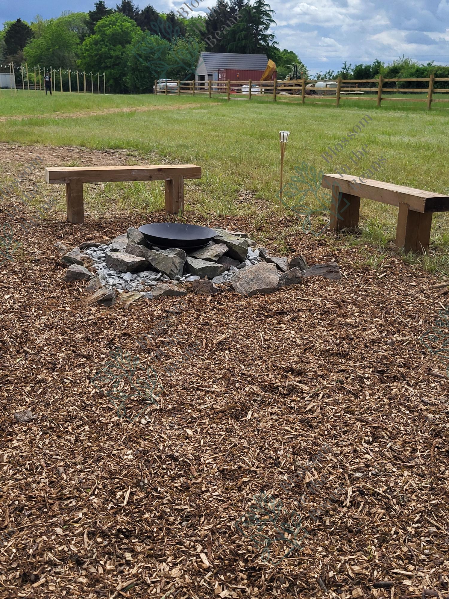 Blossom in the Beans