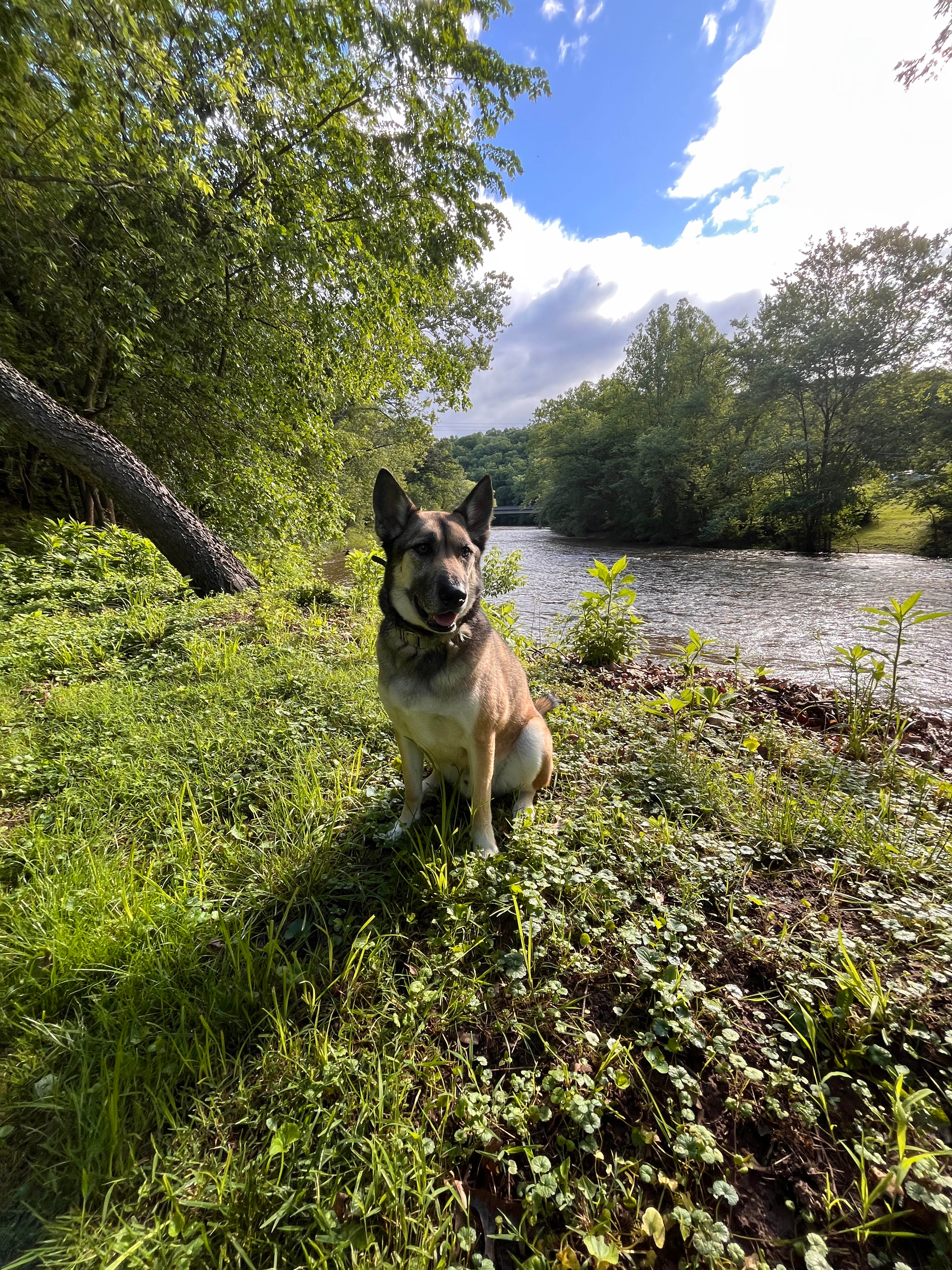 Conewago Glamp and Paddle