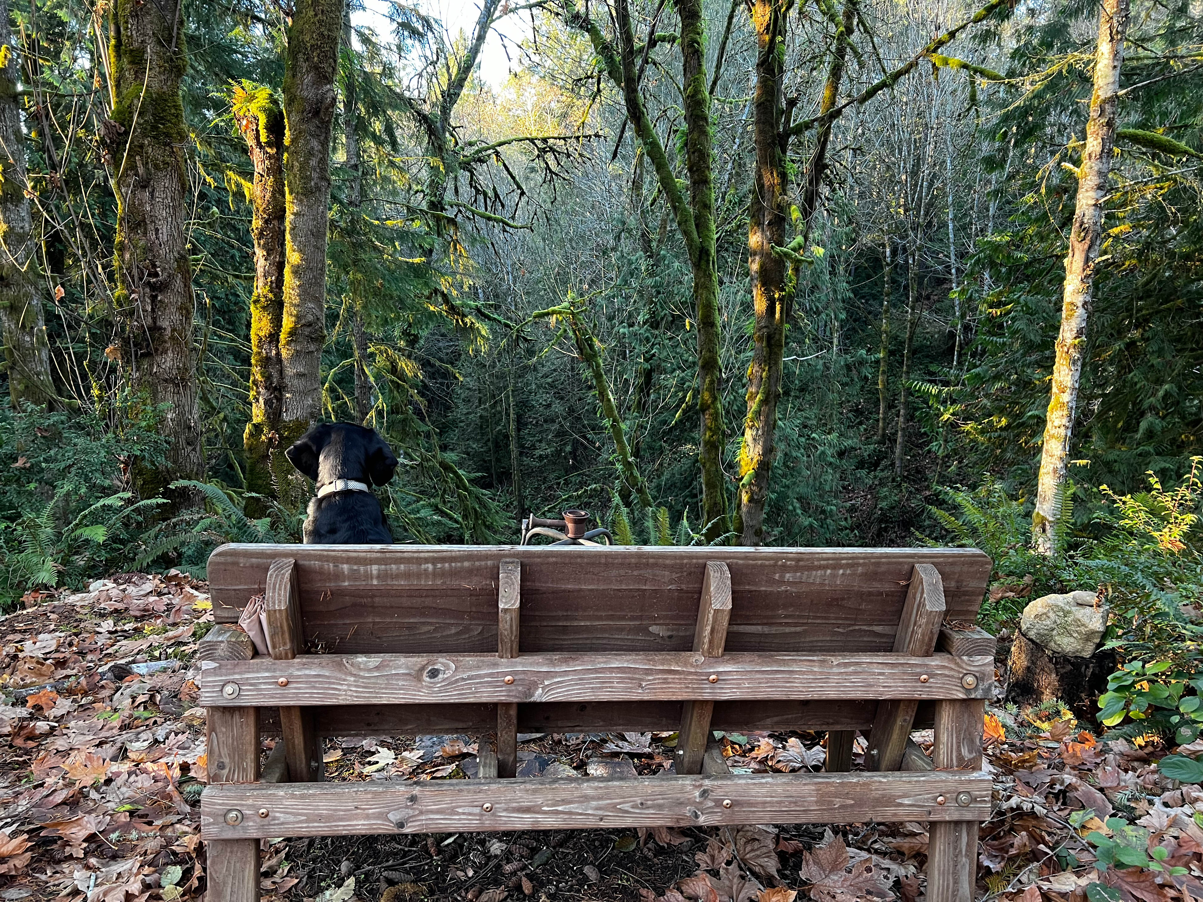 Neighborwood: An Eco Retreat