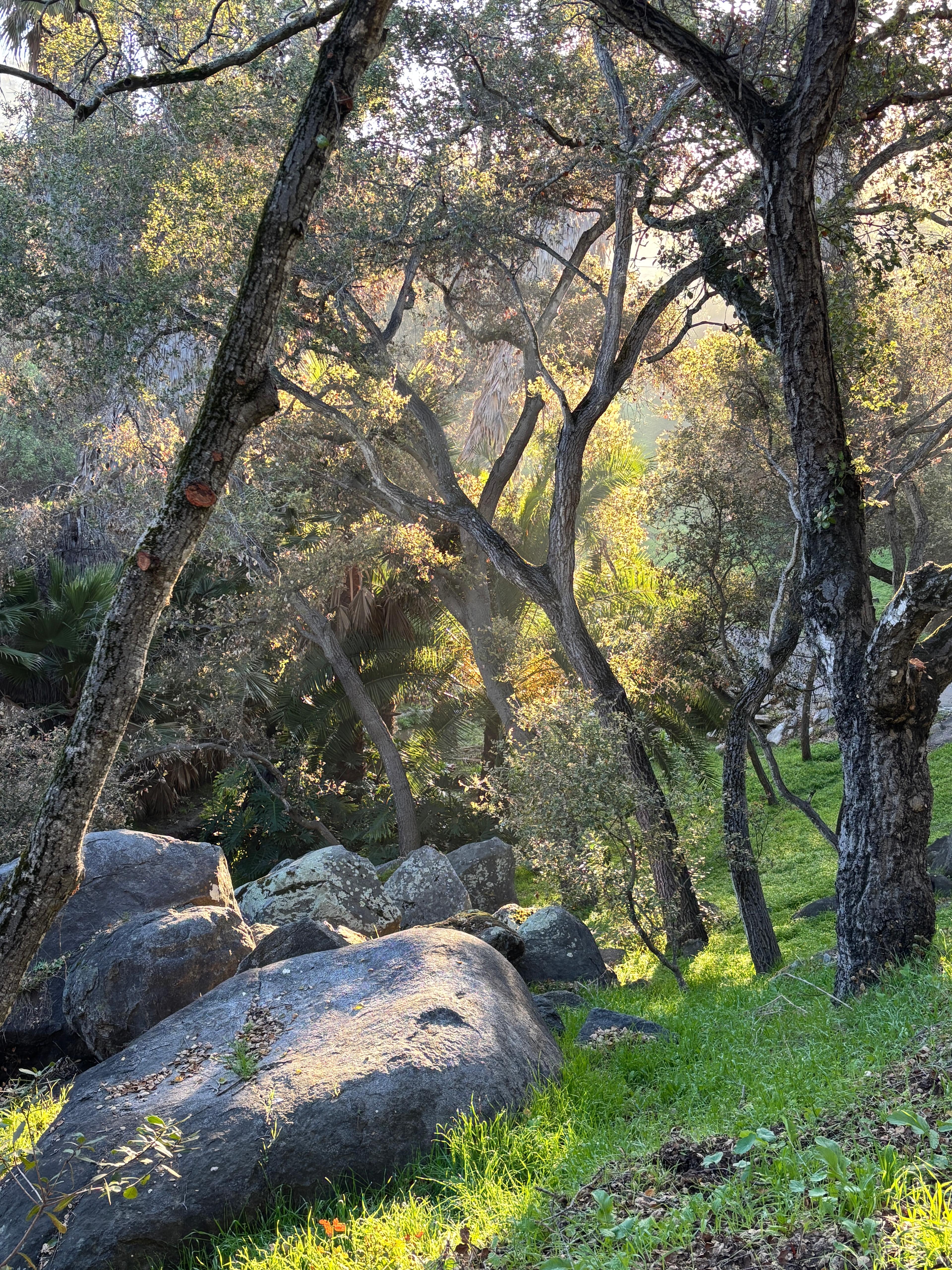 Hidden Waters