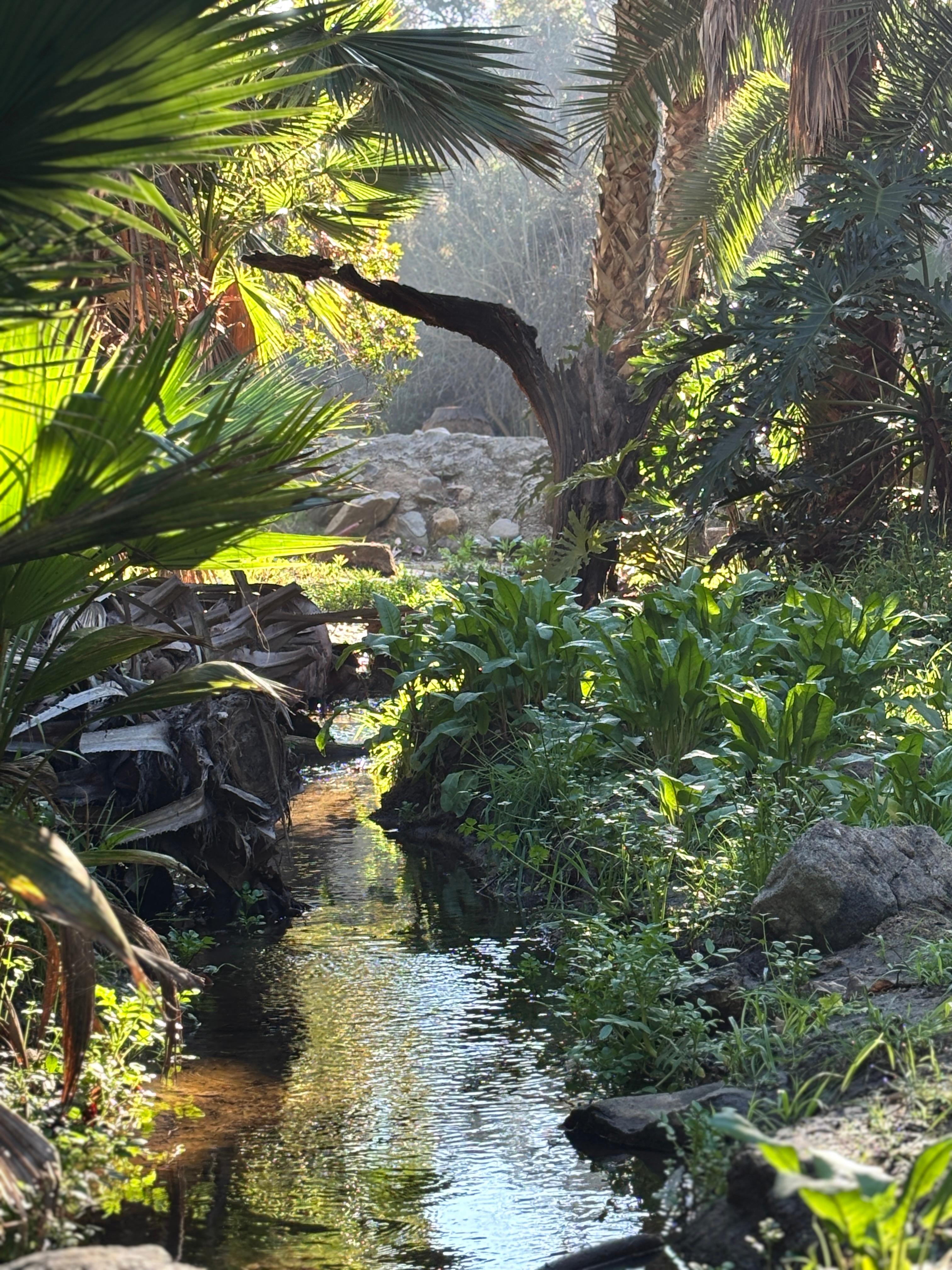 Hidden Waters