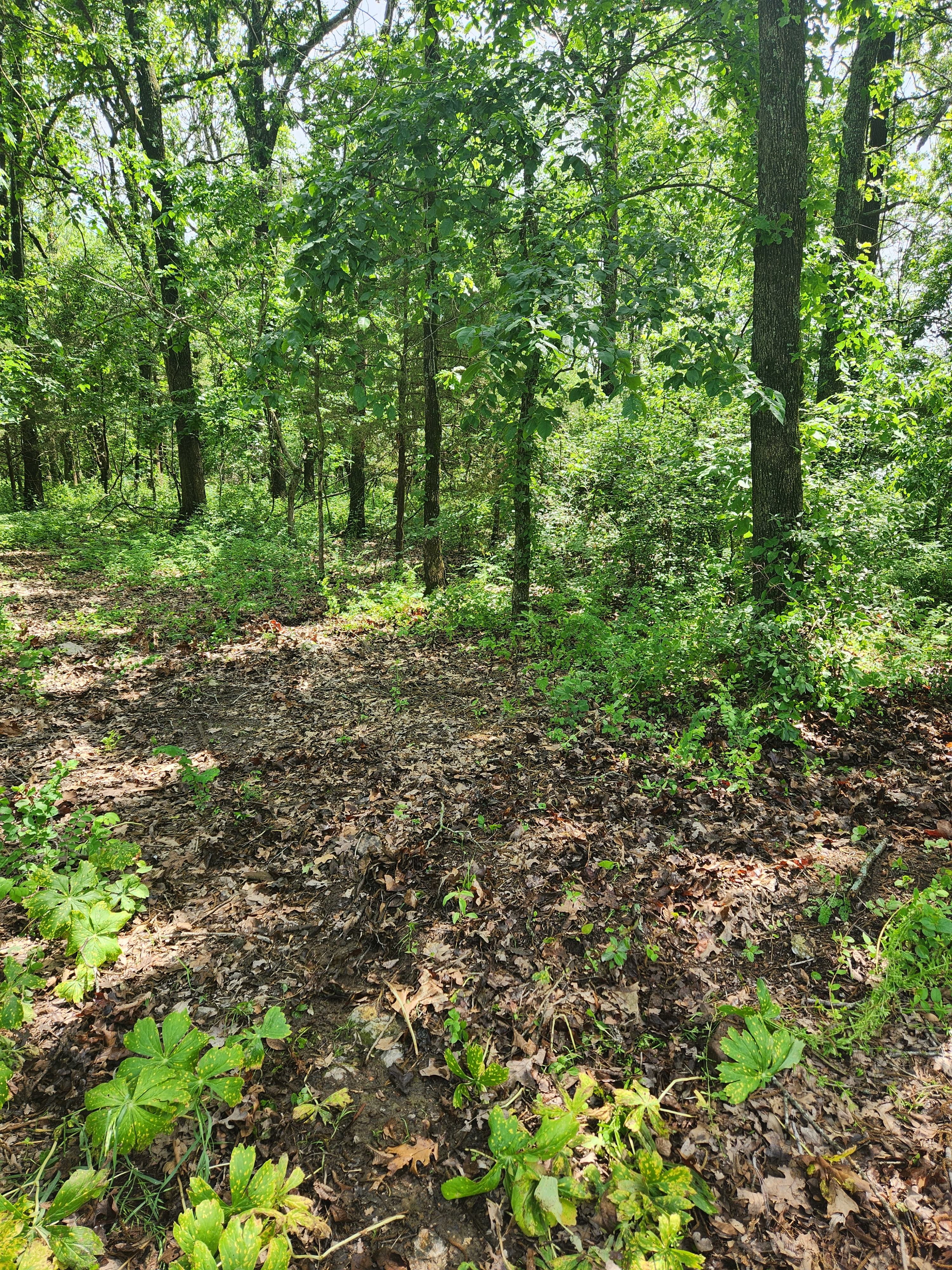 Bluestone Natural Farms