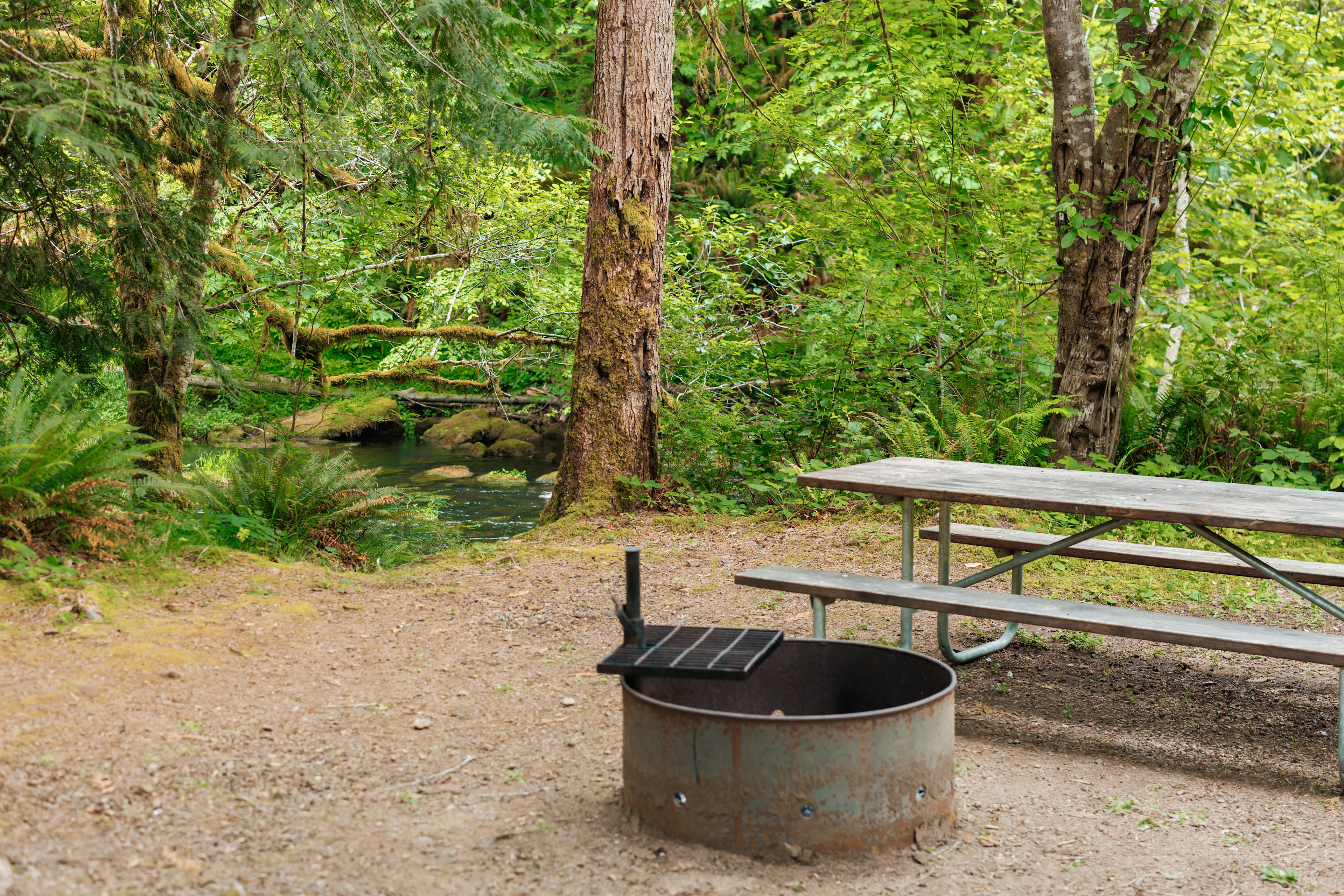 Creekside Retreat At Triangle Lake