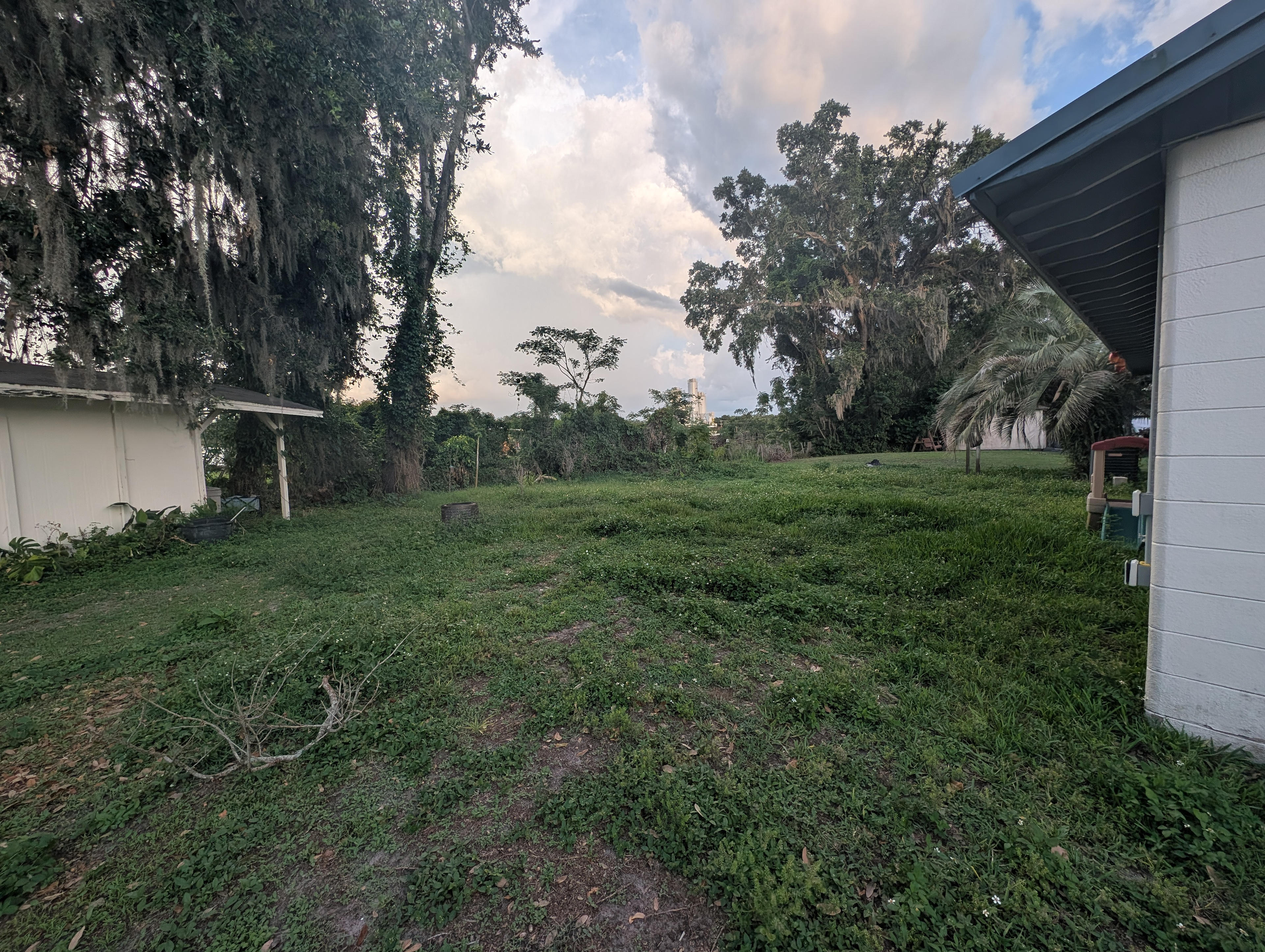 It's My Backyard