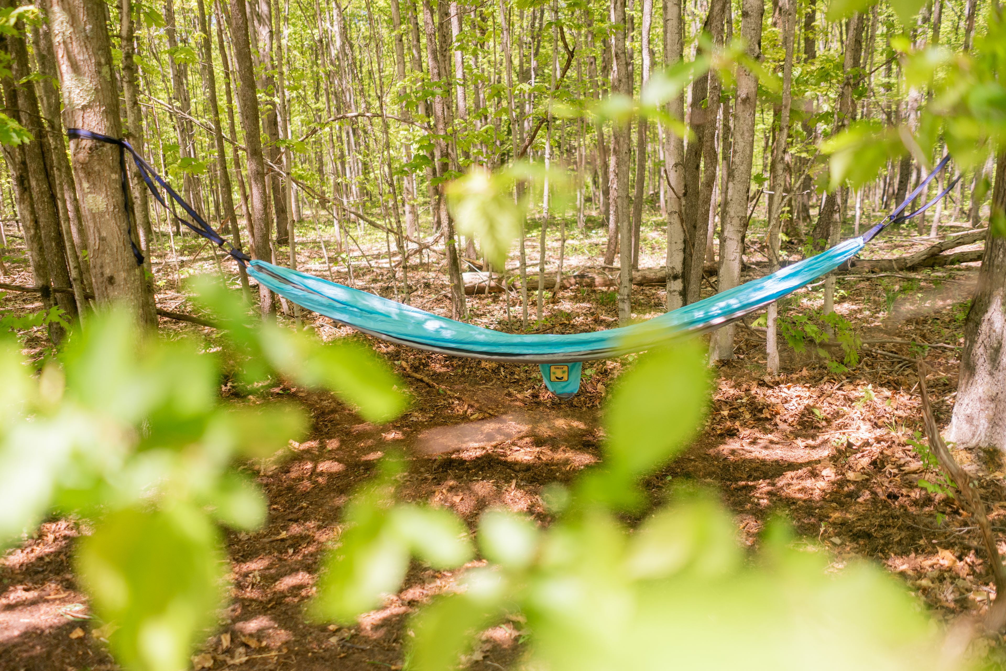 The Vine Wilderness Glamping