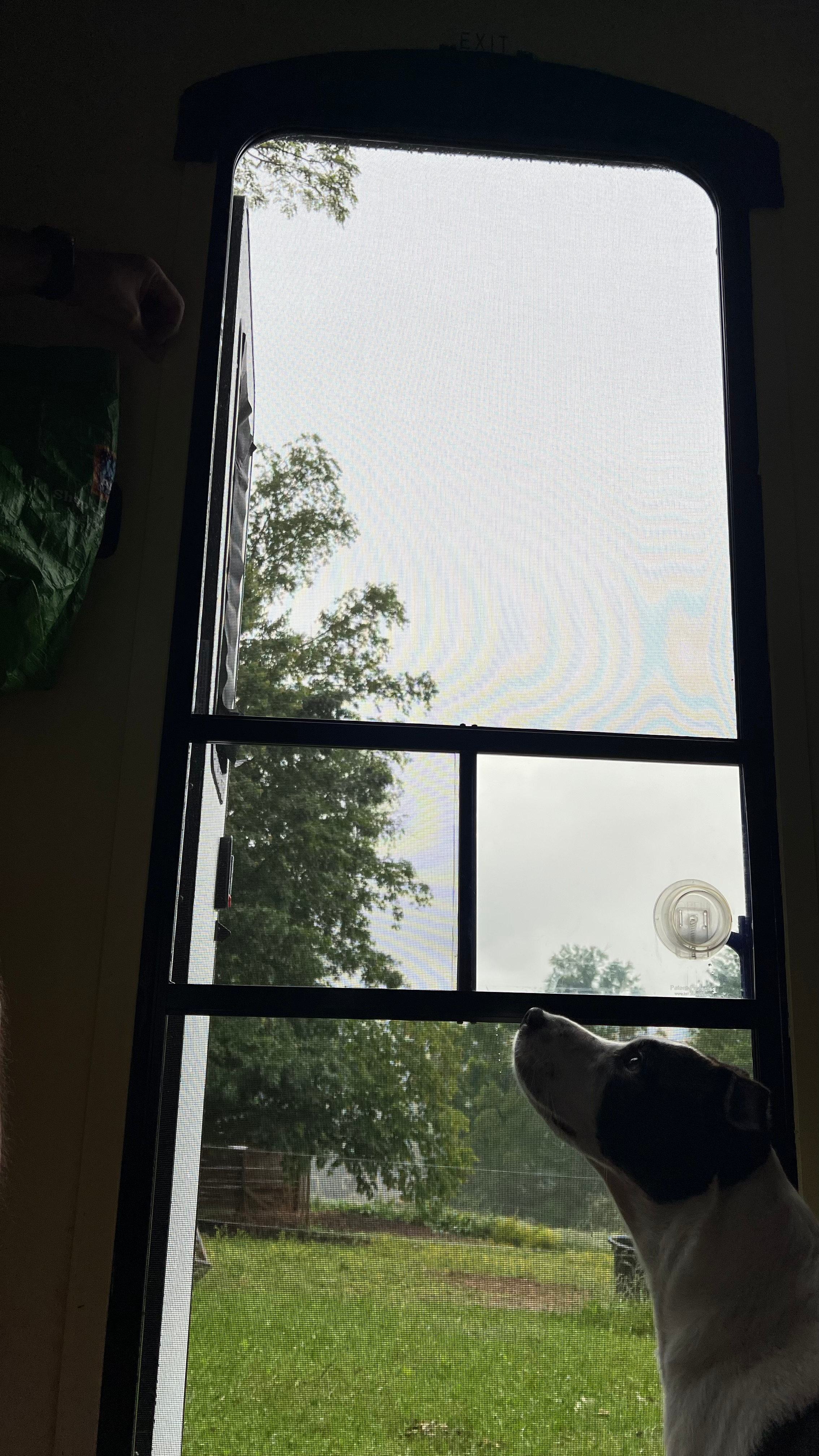 Red Rooster Farm: AVL Adjacent!