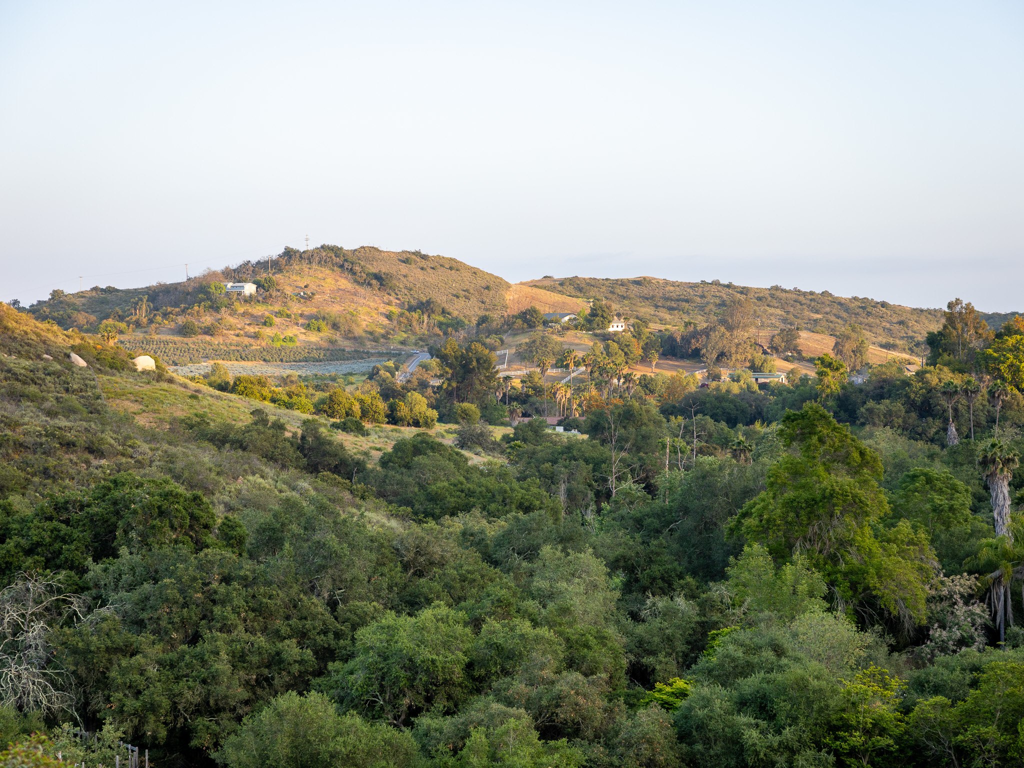 sunset view near the top of the hill