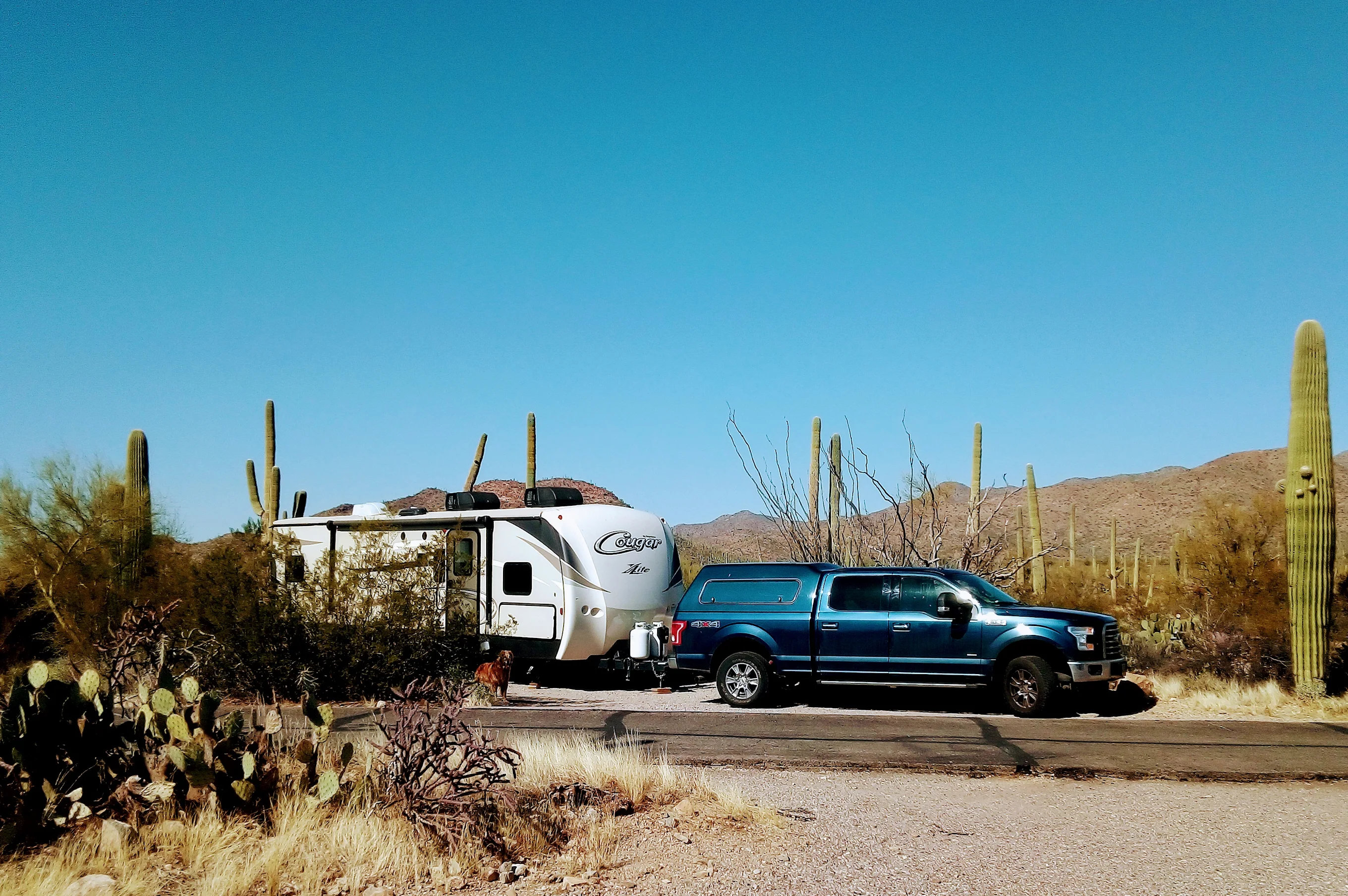 Gilbert Ray Campground Tucson Mountain Park