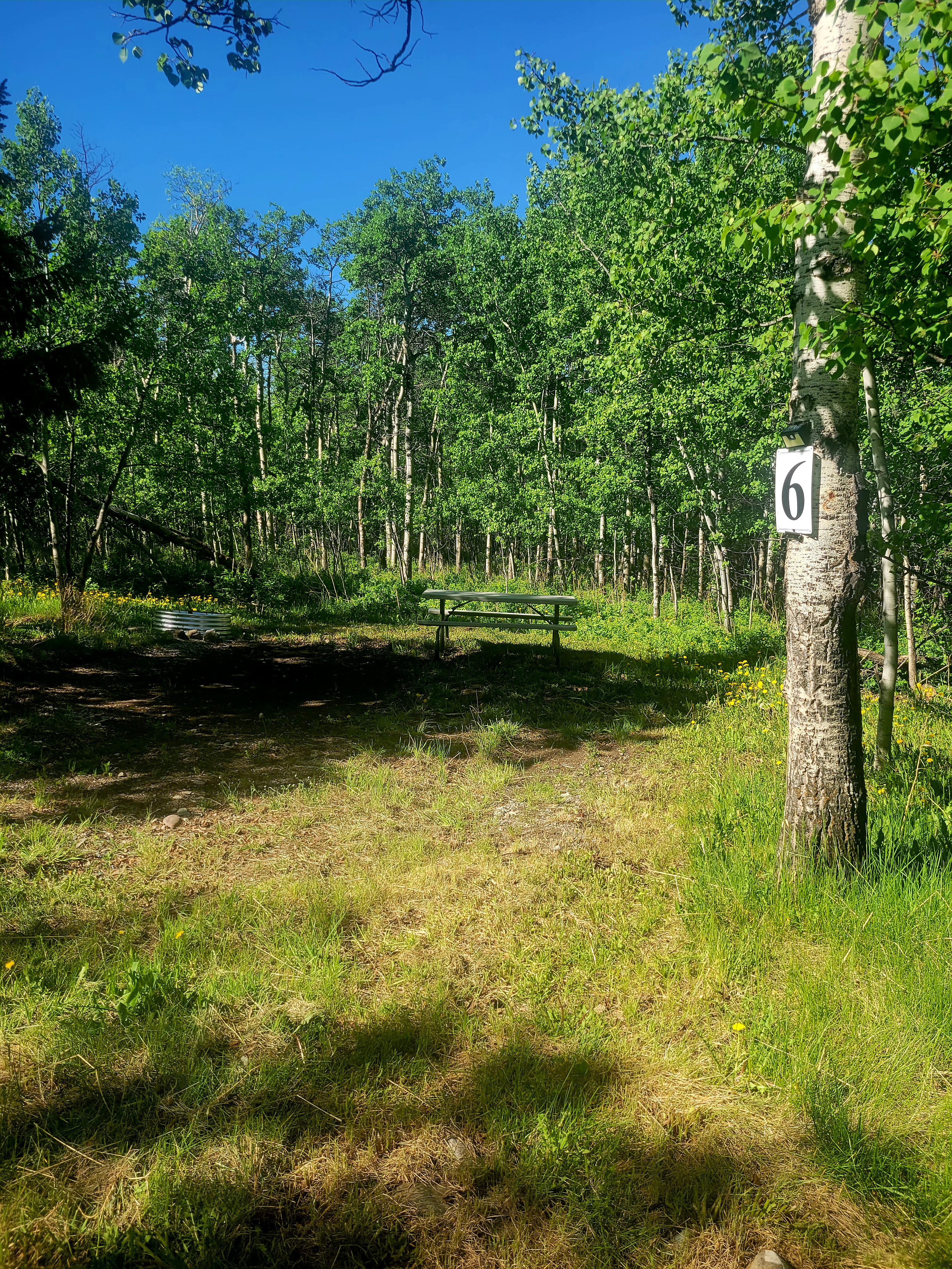 Duck Lake Lodge & Campground