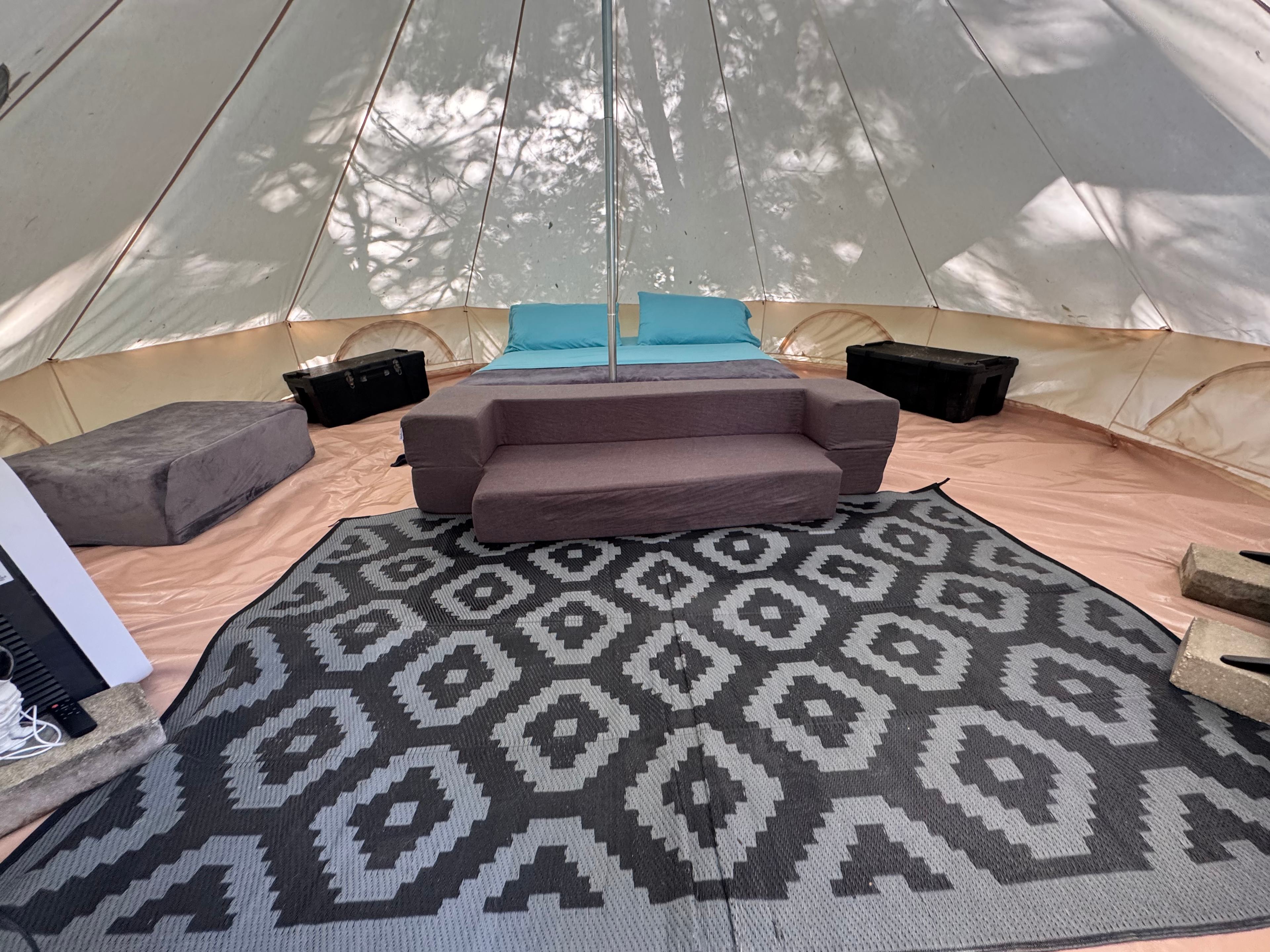 Purradise Springs 🐾 Cat Sanctuary