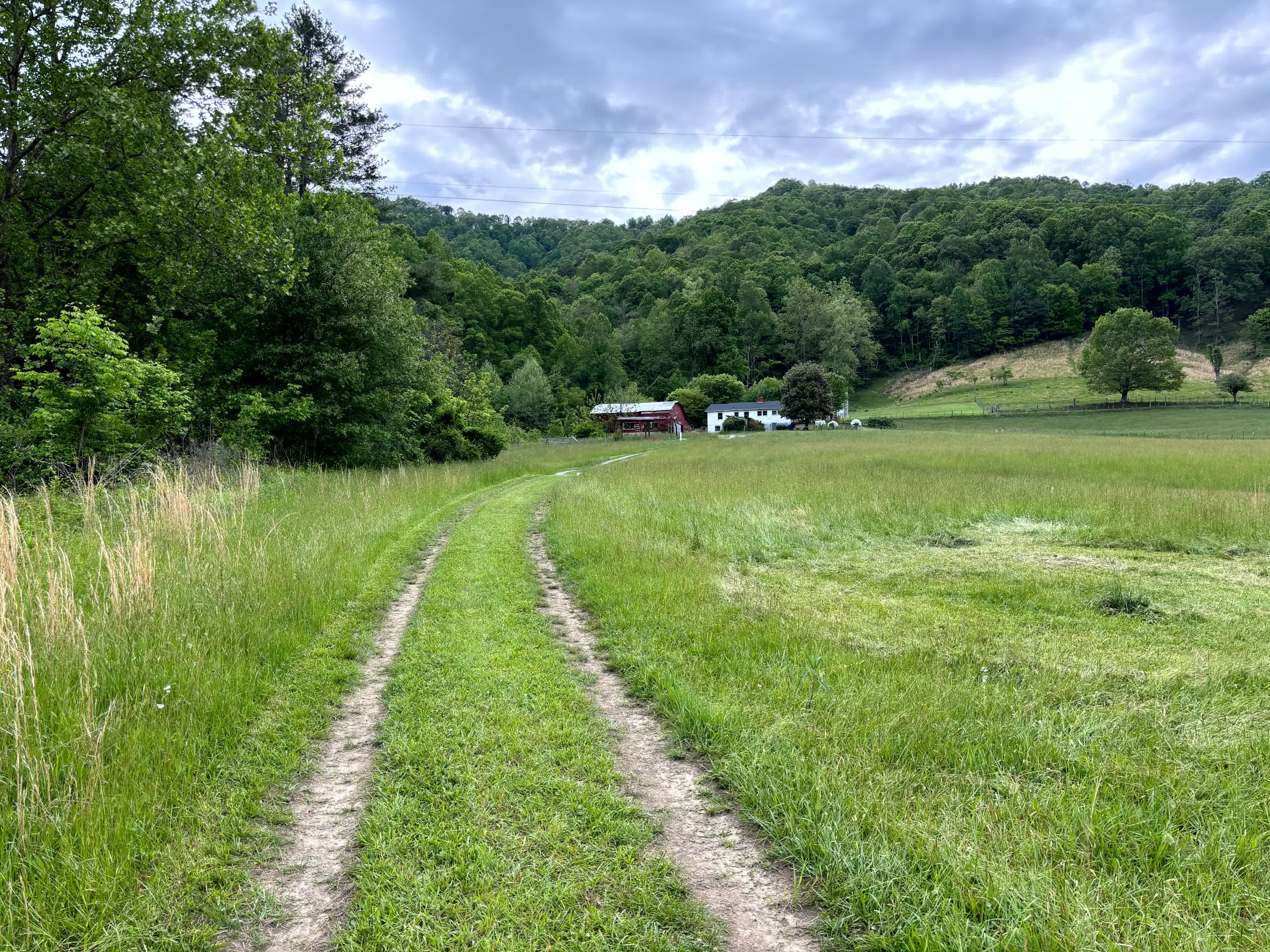 Turkey Creek Oasis~valley views