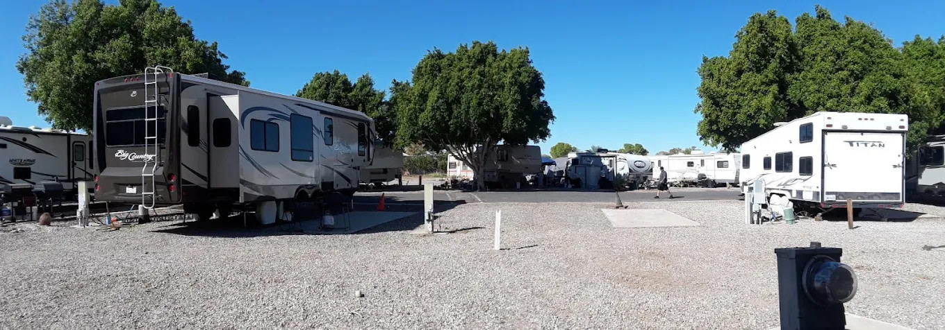 The Palms At River Edge