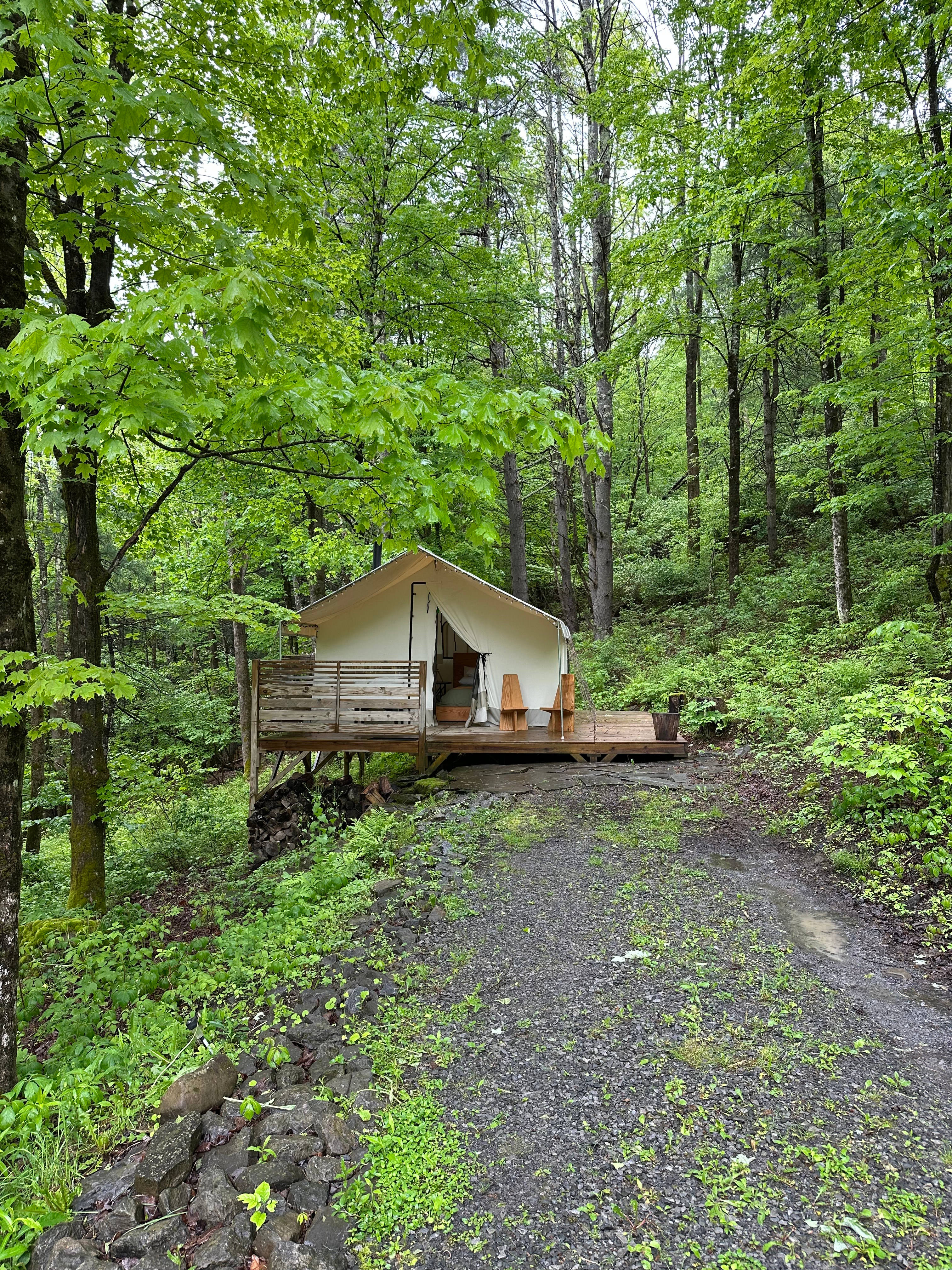 Creekside Collective