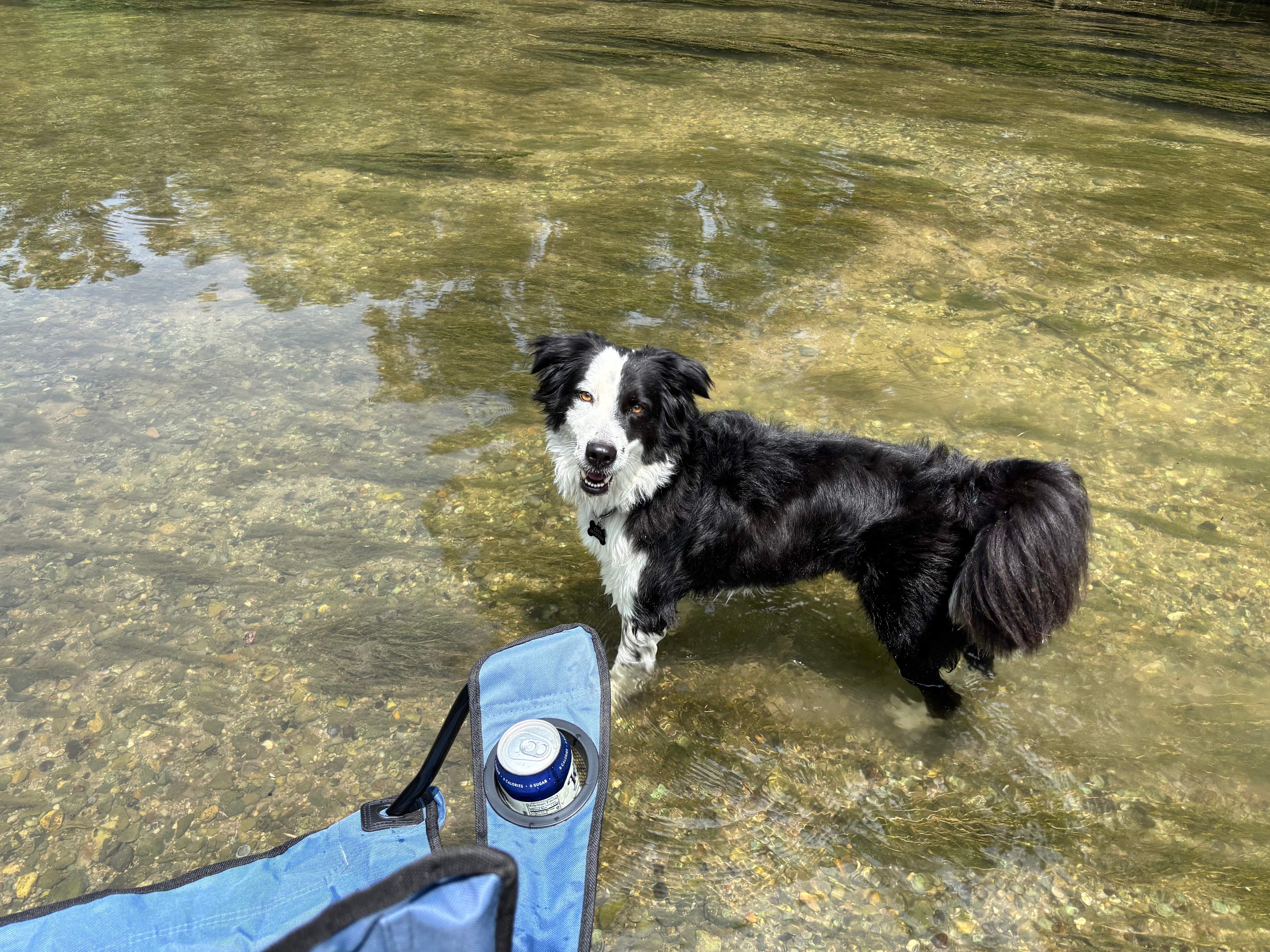 Creekside Coach Park