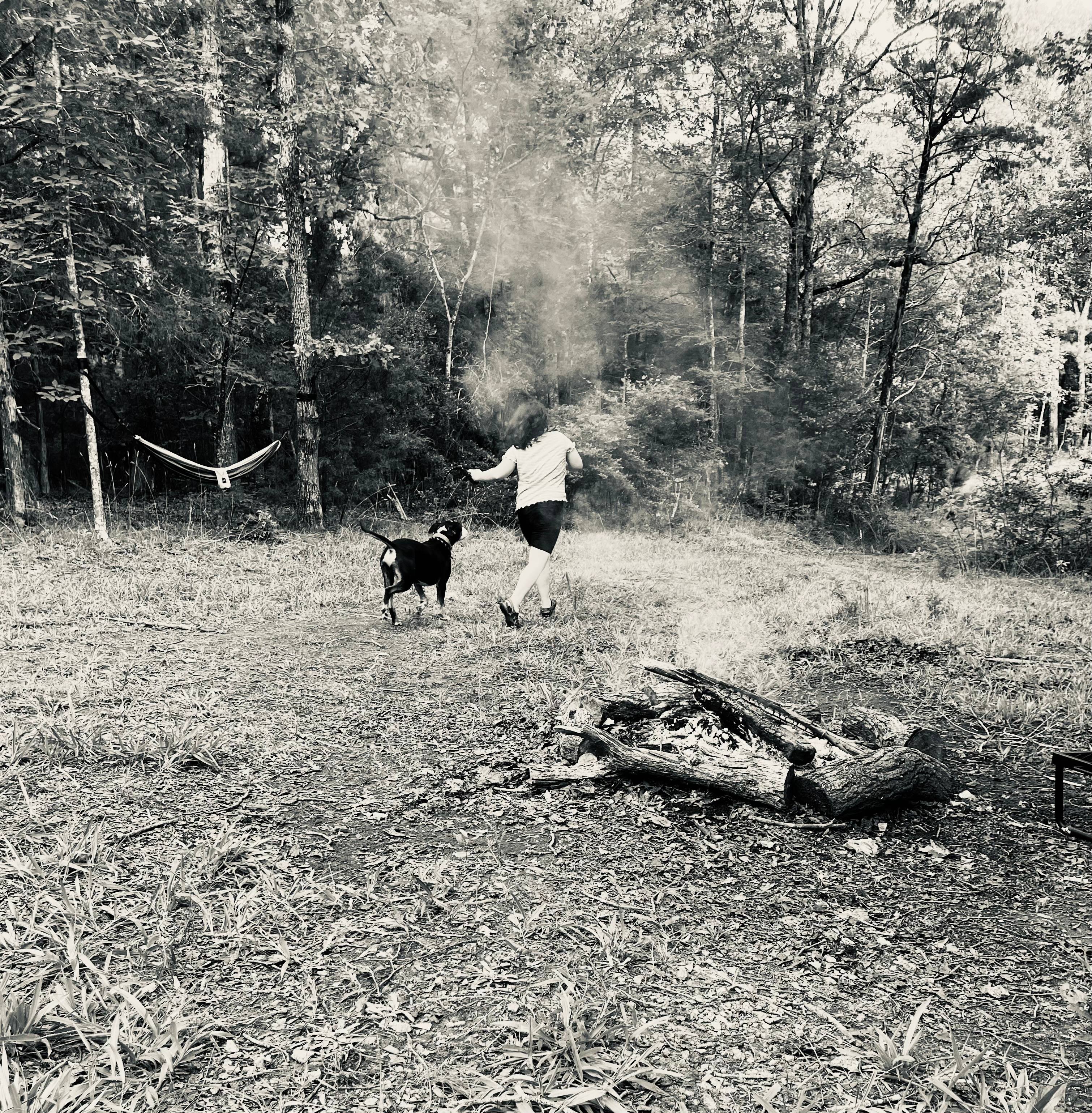 KALEIDOSCOPE FARM - Nature!