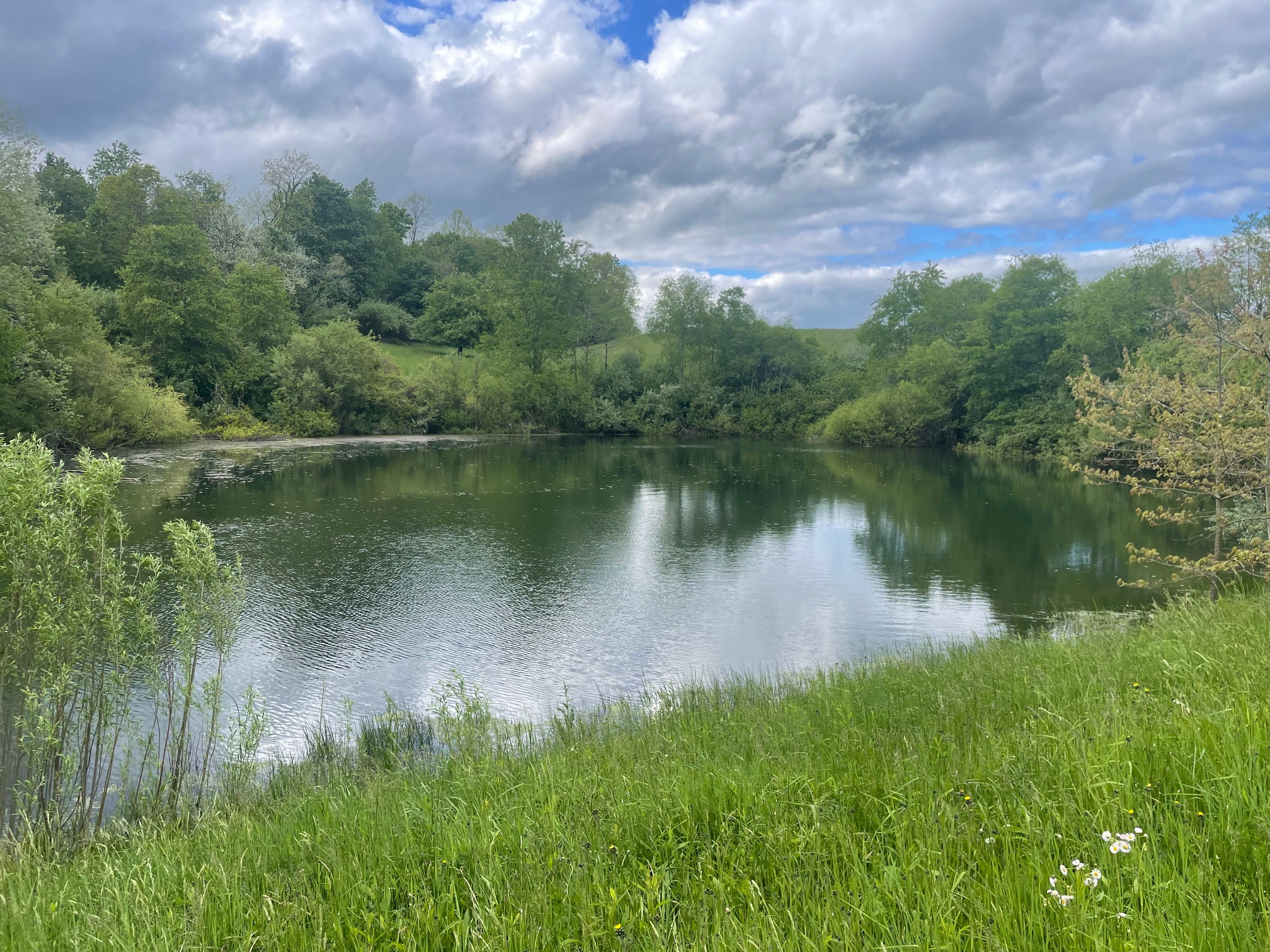 Aspen Overlook Campsite