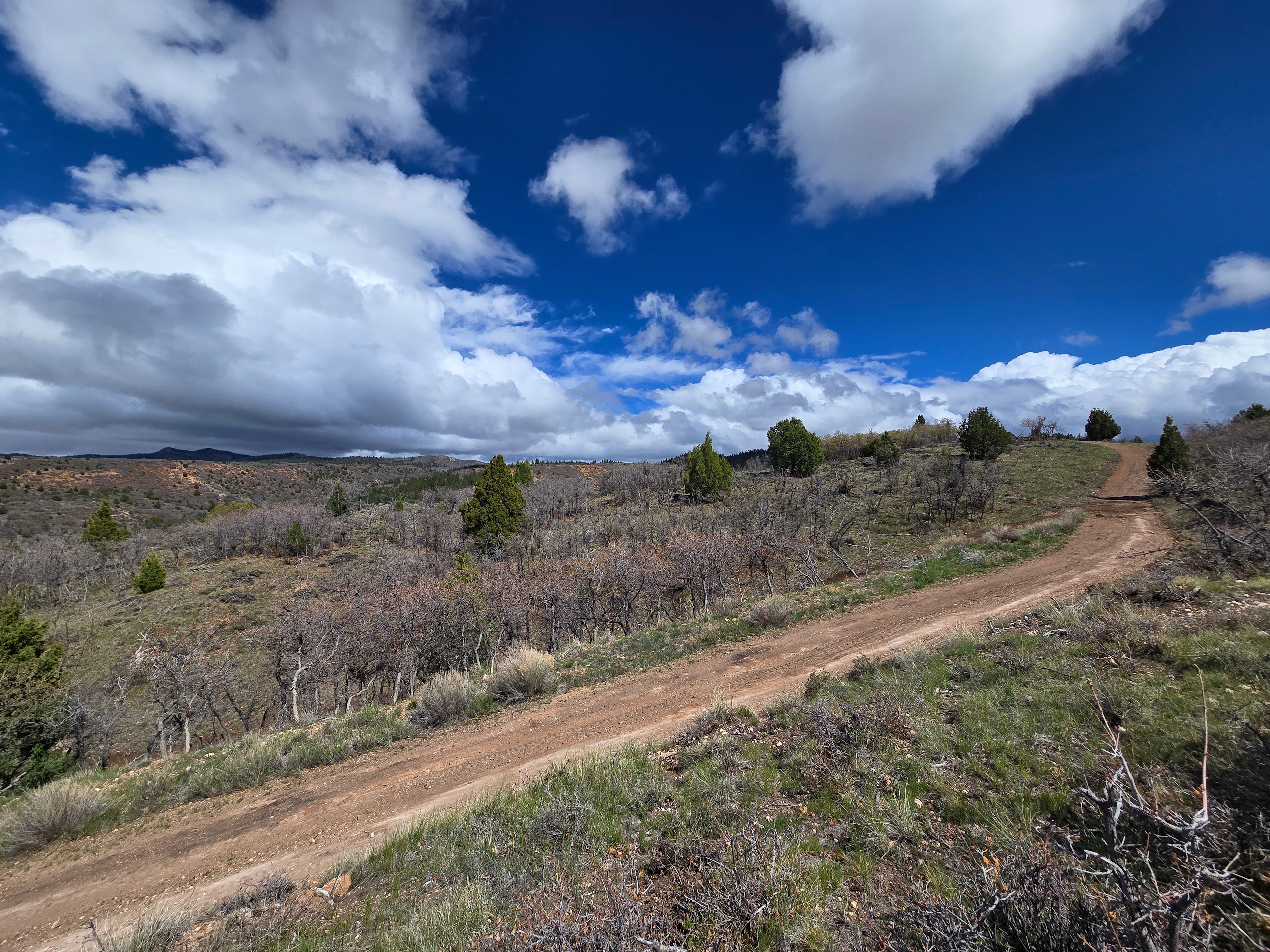 Bryce And Zions Camping, RV, Cabins