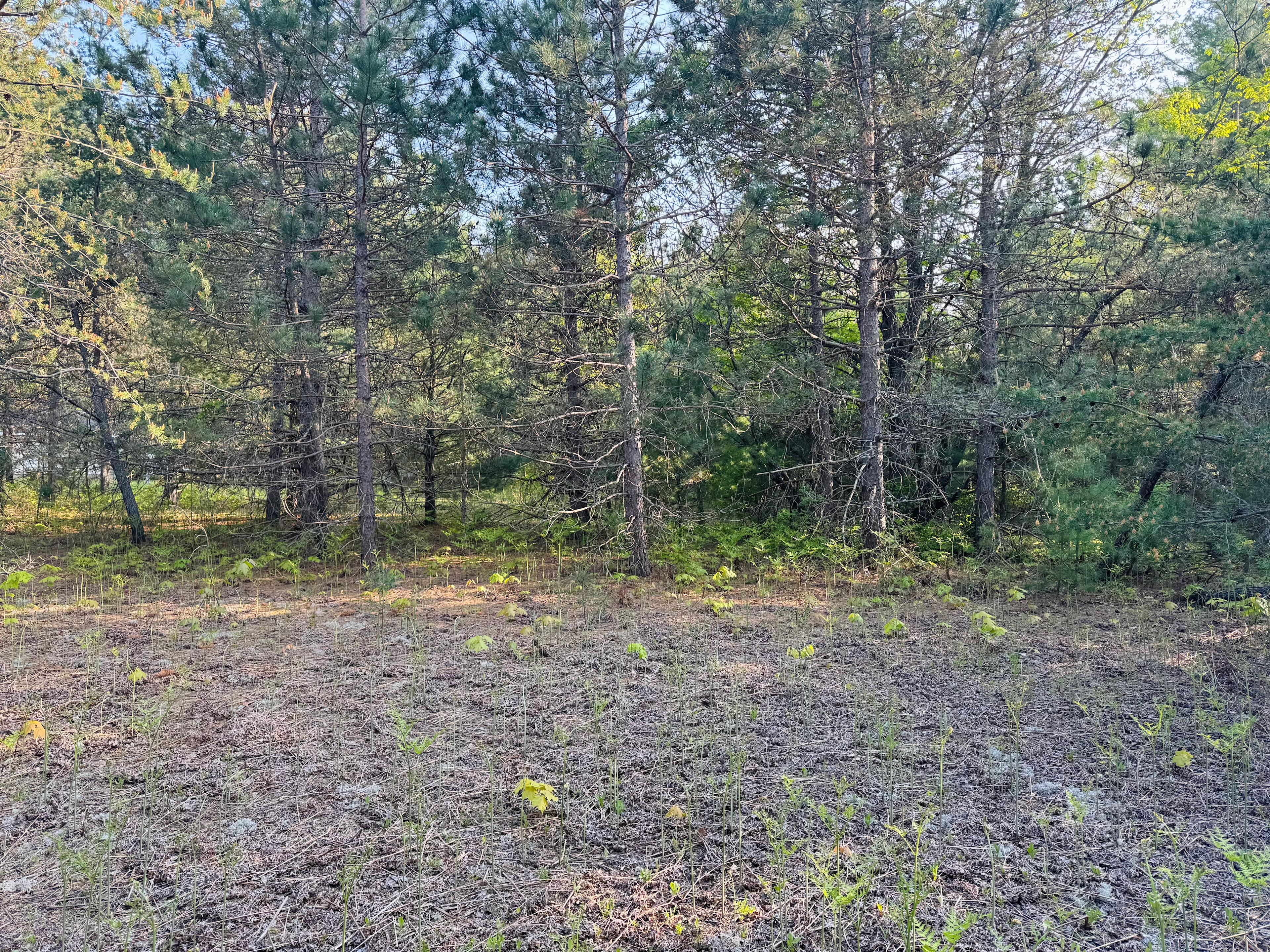 Private Rustic Pines