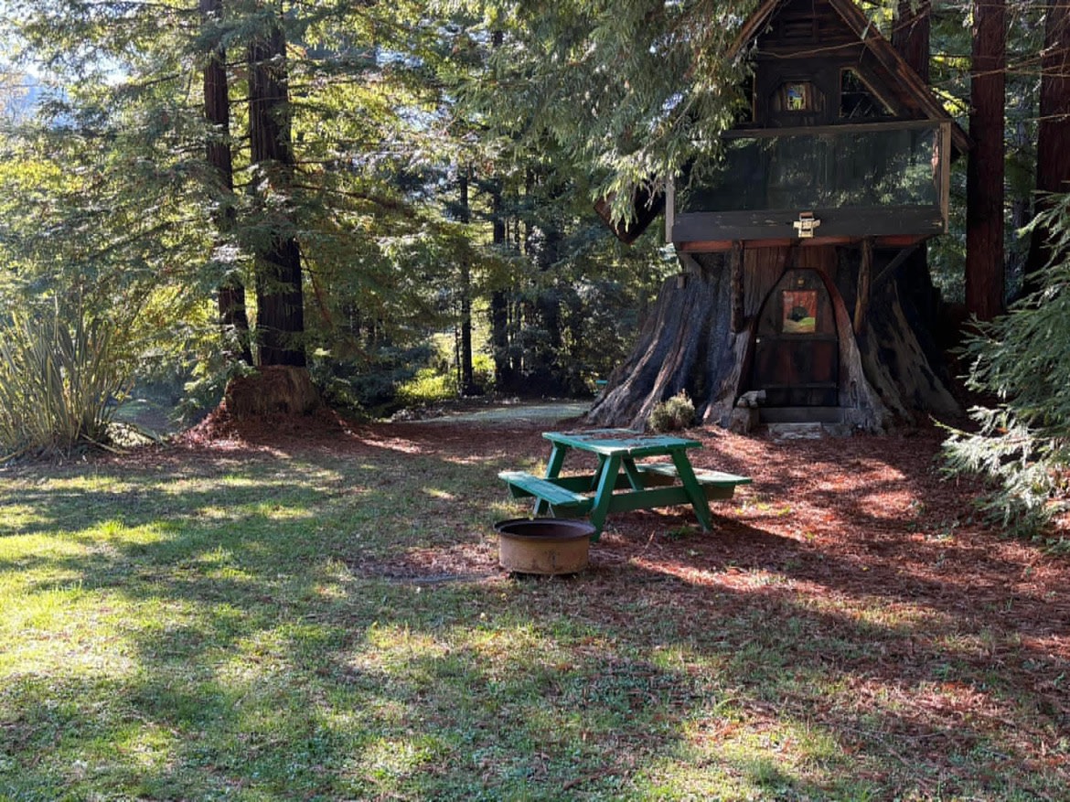 Redwood Family Camp