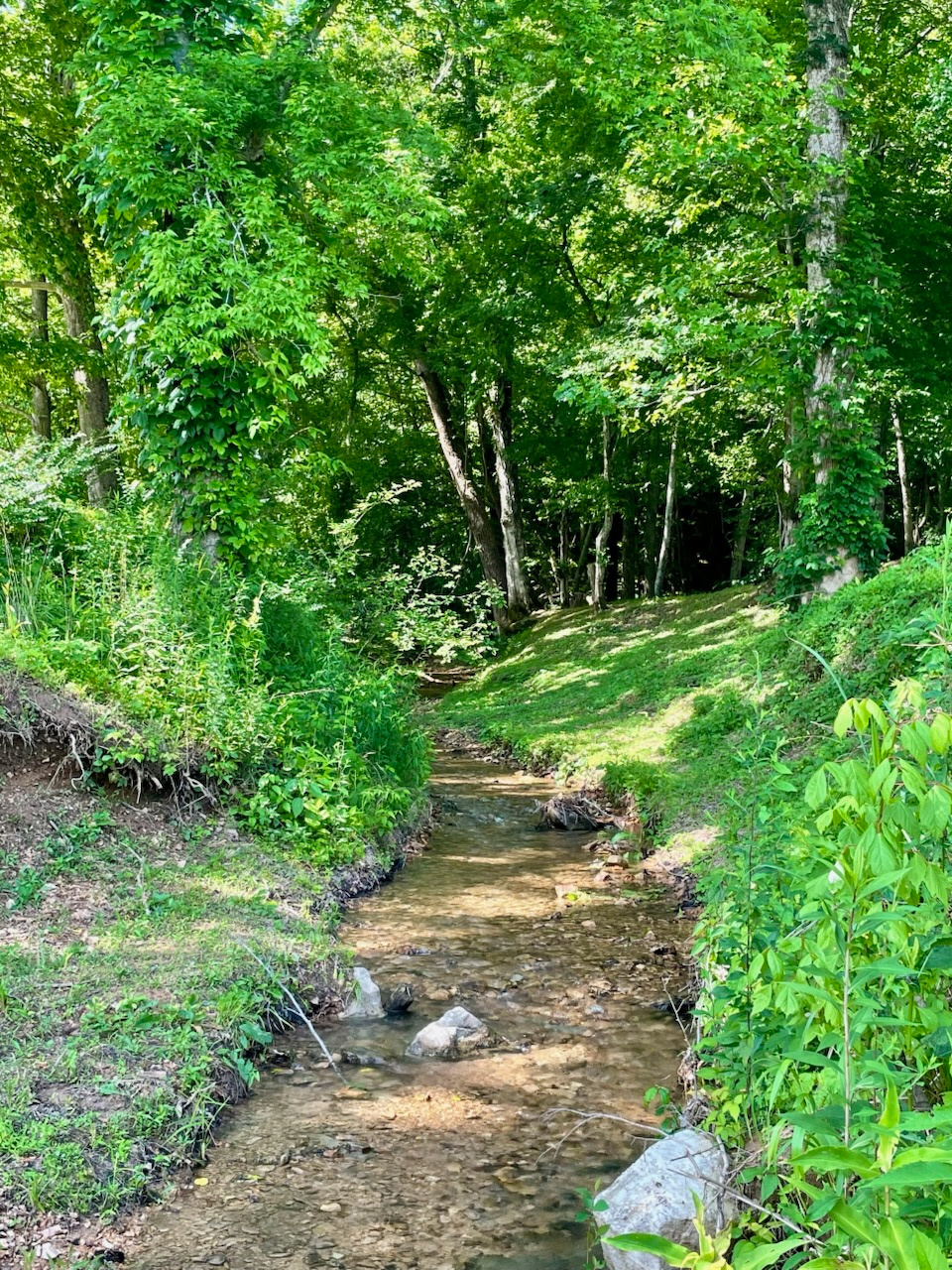 Buffalo River Resort