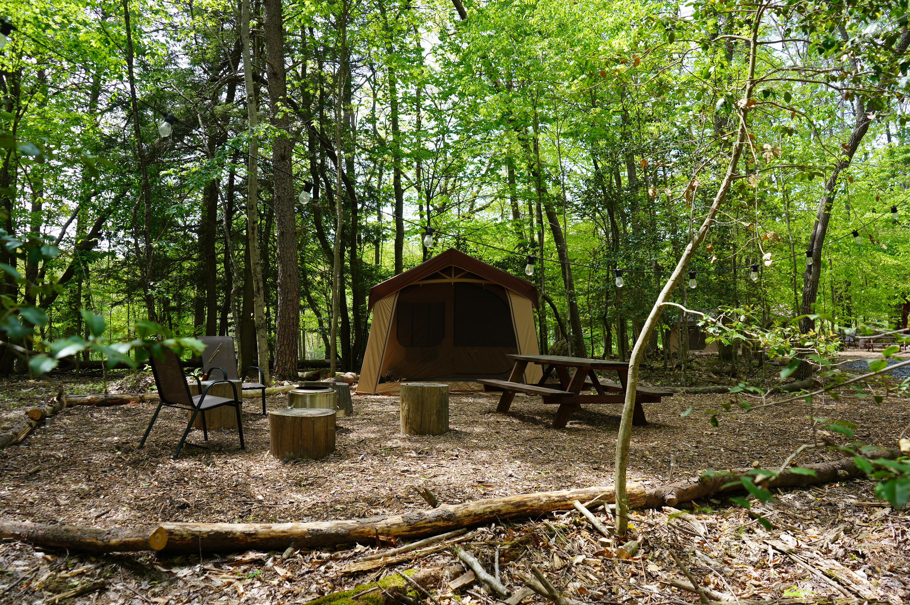 Kind of Wild Homestead