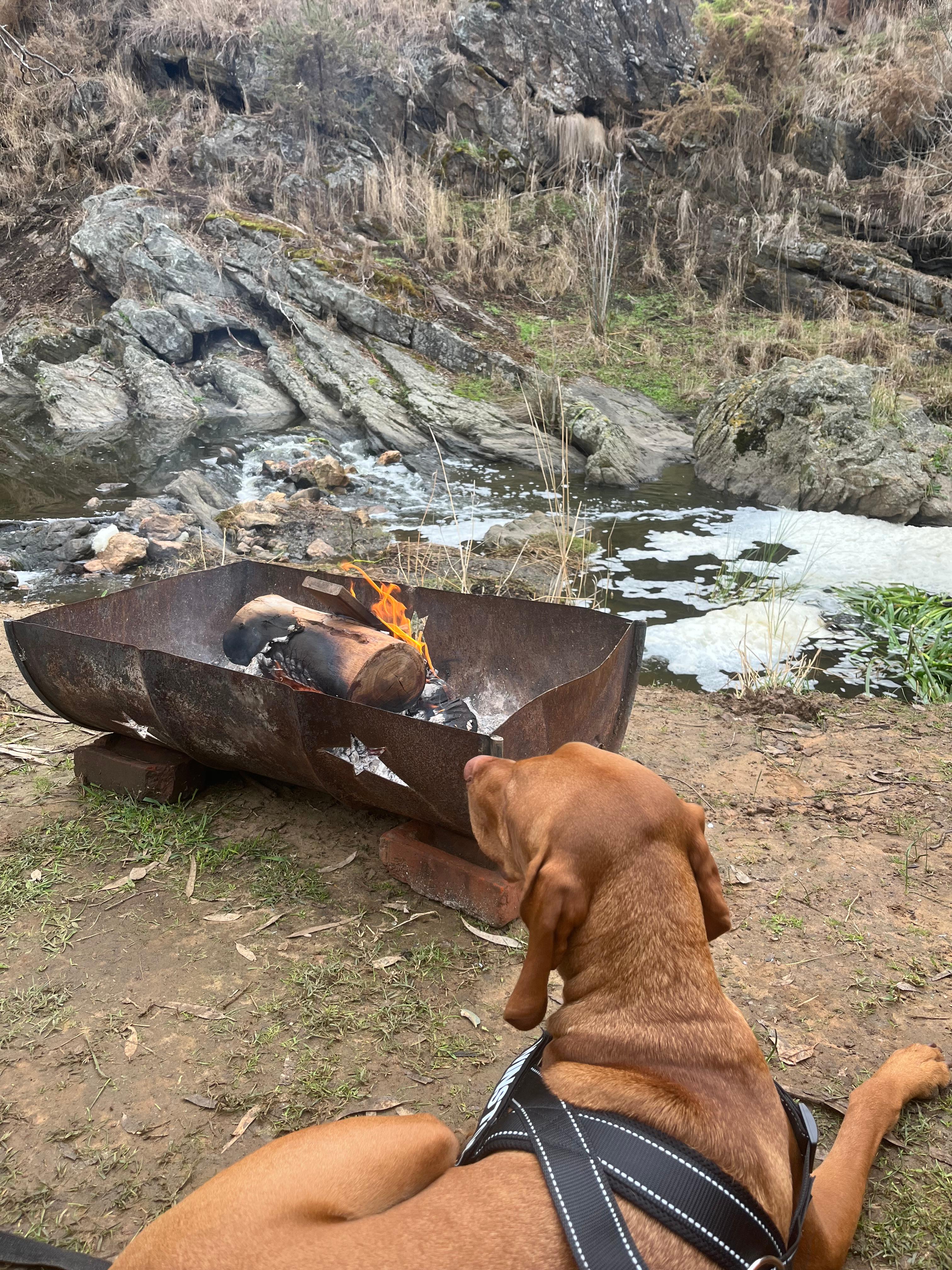 Sunset Rocks Farmstay