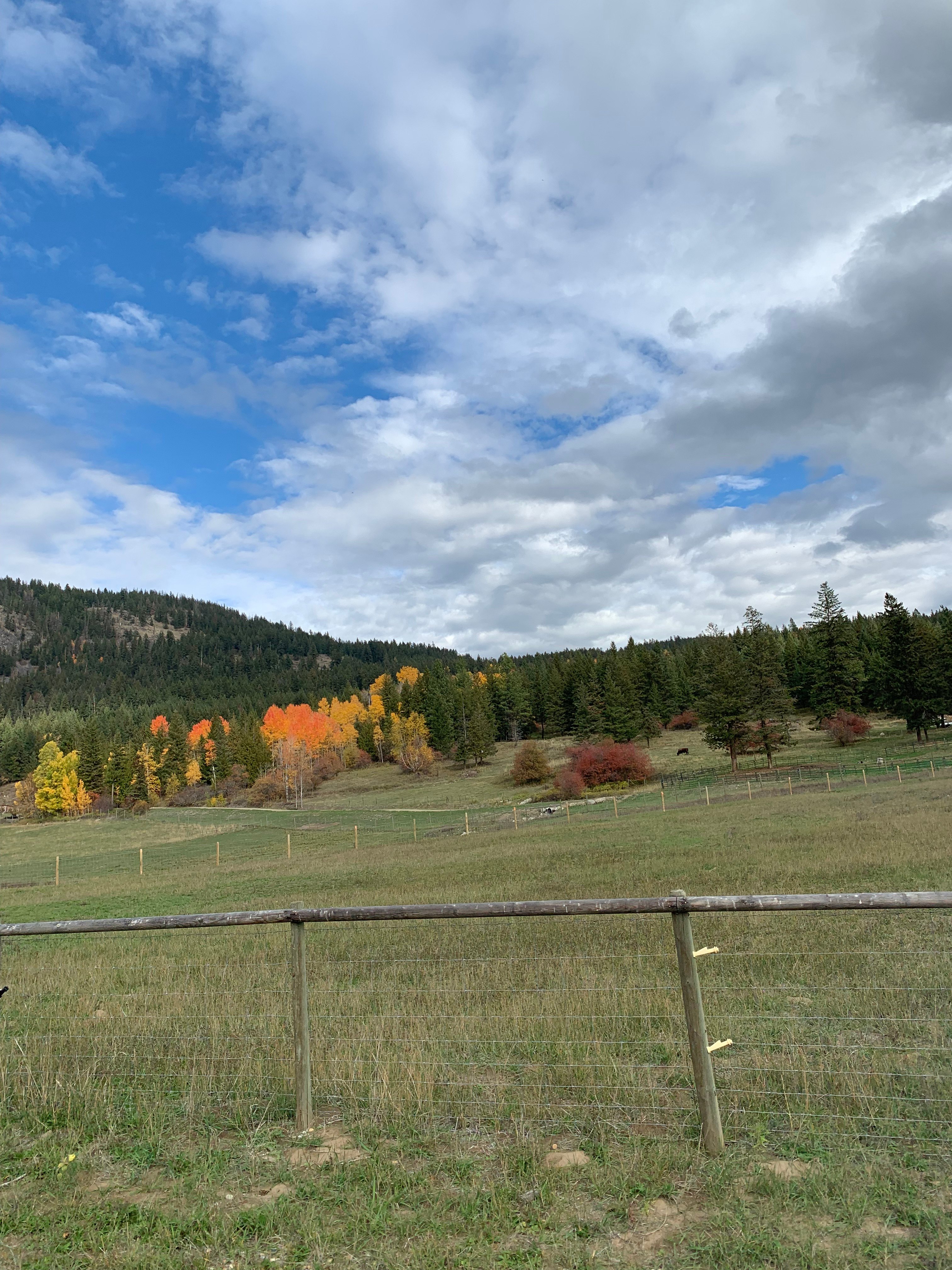fenced in camping field from drive -way view. 