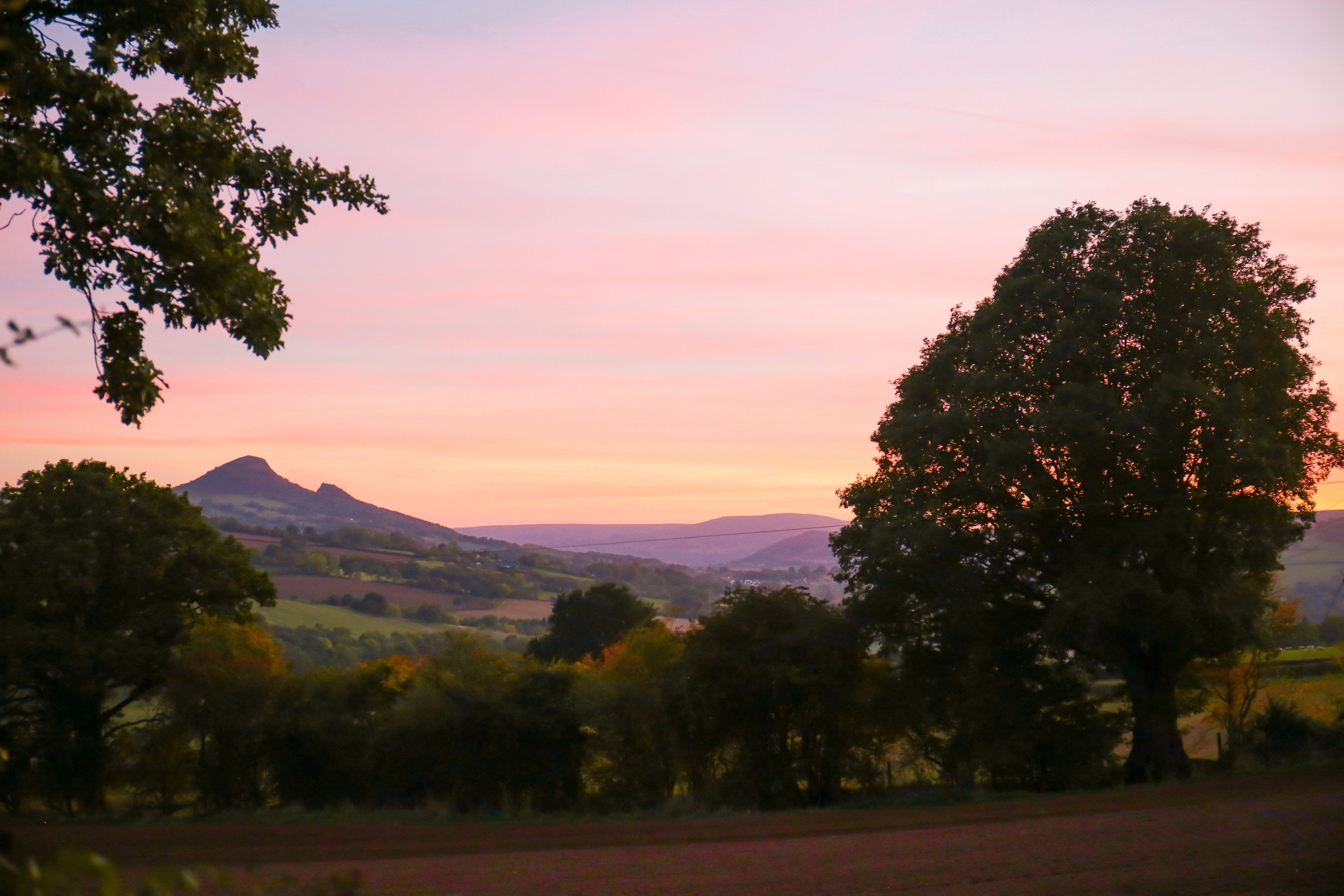Goytree Glamping and Treehouses