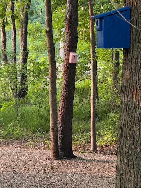 The Mannex!  Indiana Dunes Nat'l Pk